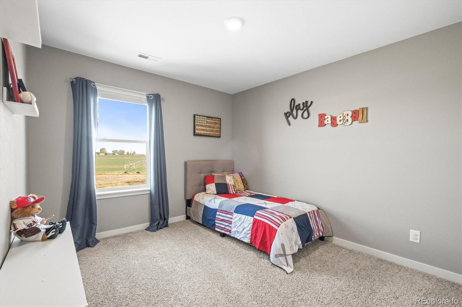 MLS Image #29 for 14652  bonsmara drive,mead, Colorado