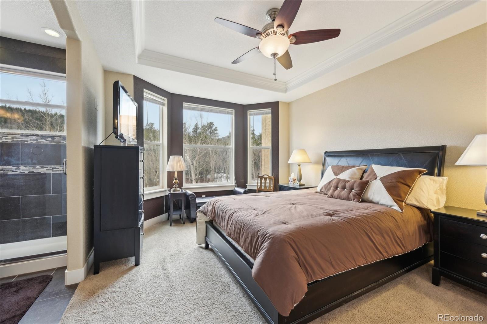 MLS Image #25 for 873  vernon drive,central city, Colorado