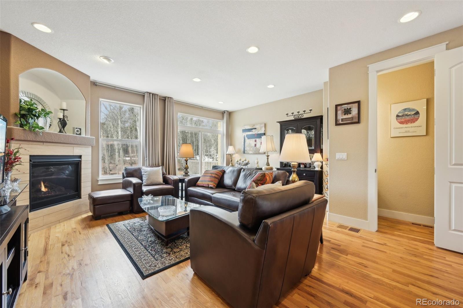 MLS Image #5 for 873  vernon drive,central city, Colorado