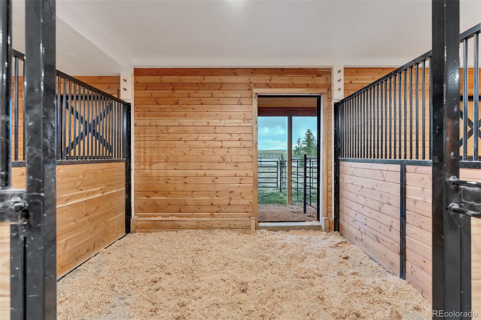 MLS Image #6 for 11524  spruce mountain road,larkspur, Colorado