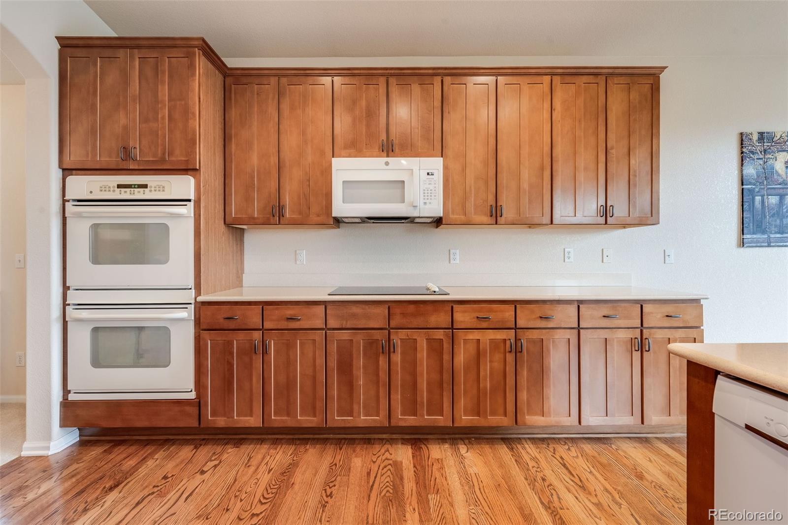 MLS Image #10 for 17138  moorside drive,parker, Colorado
