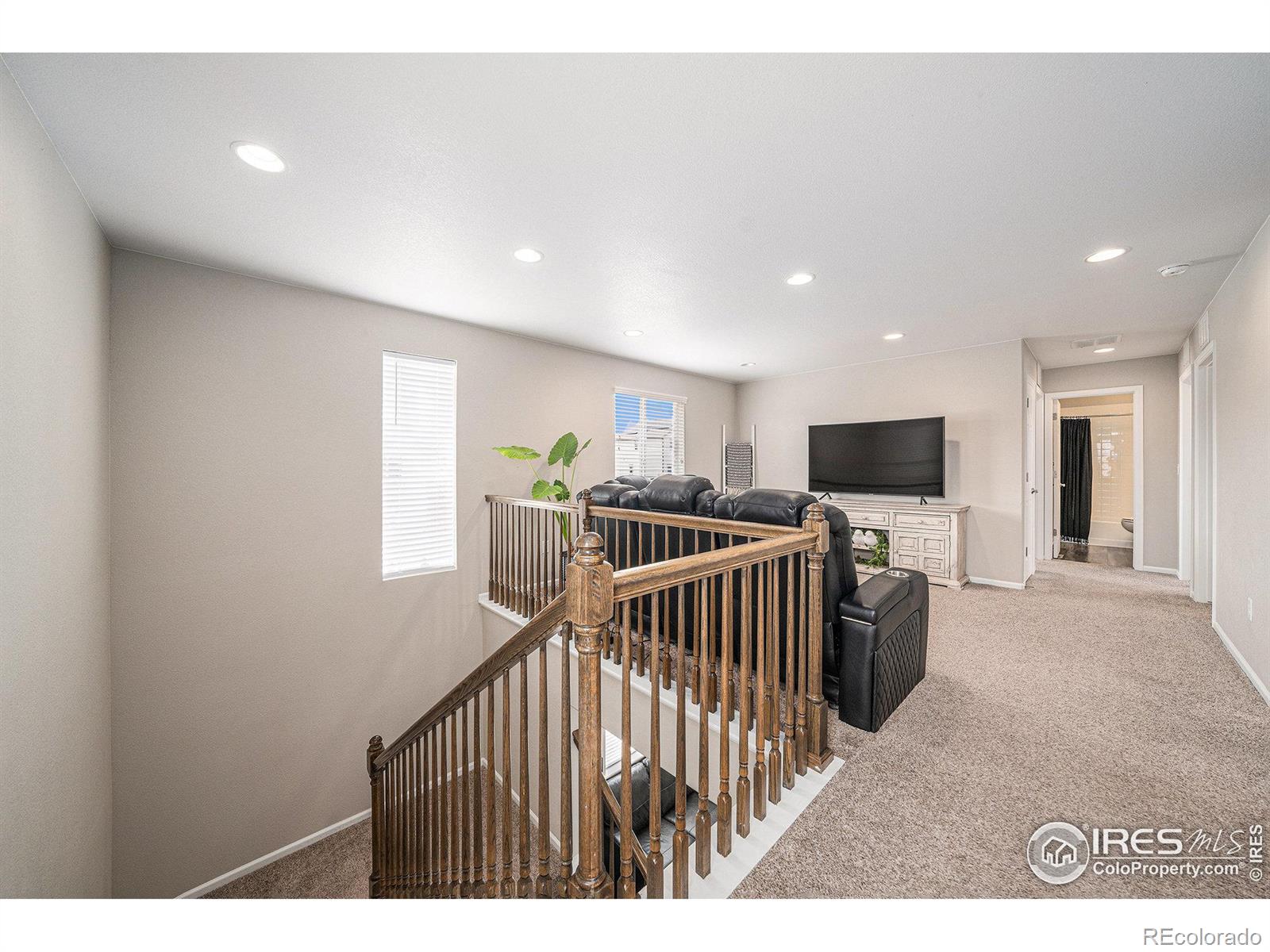 MLS Image #11 for 5314  osbourne drive,windsor, Colorado