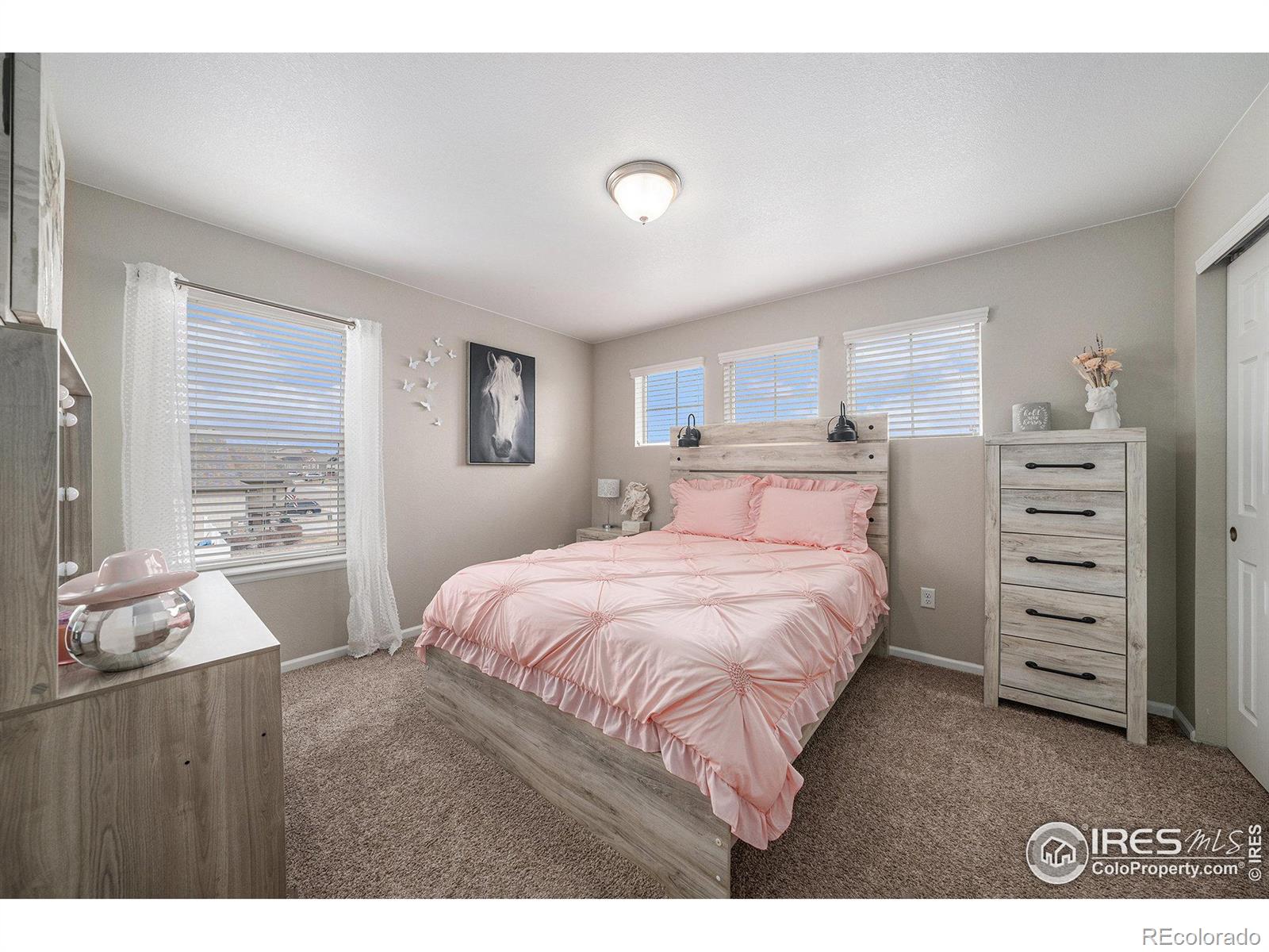 MLS Image #20 for 5314  osbourne drive,windsor, Colorado