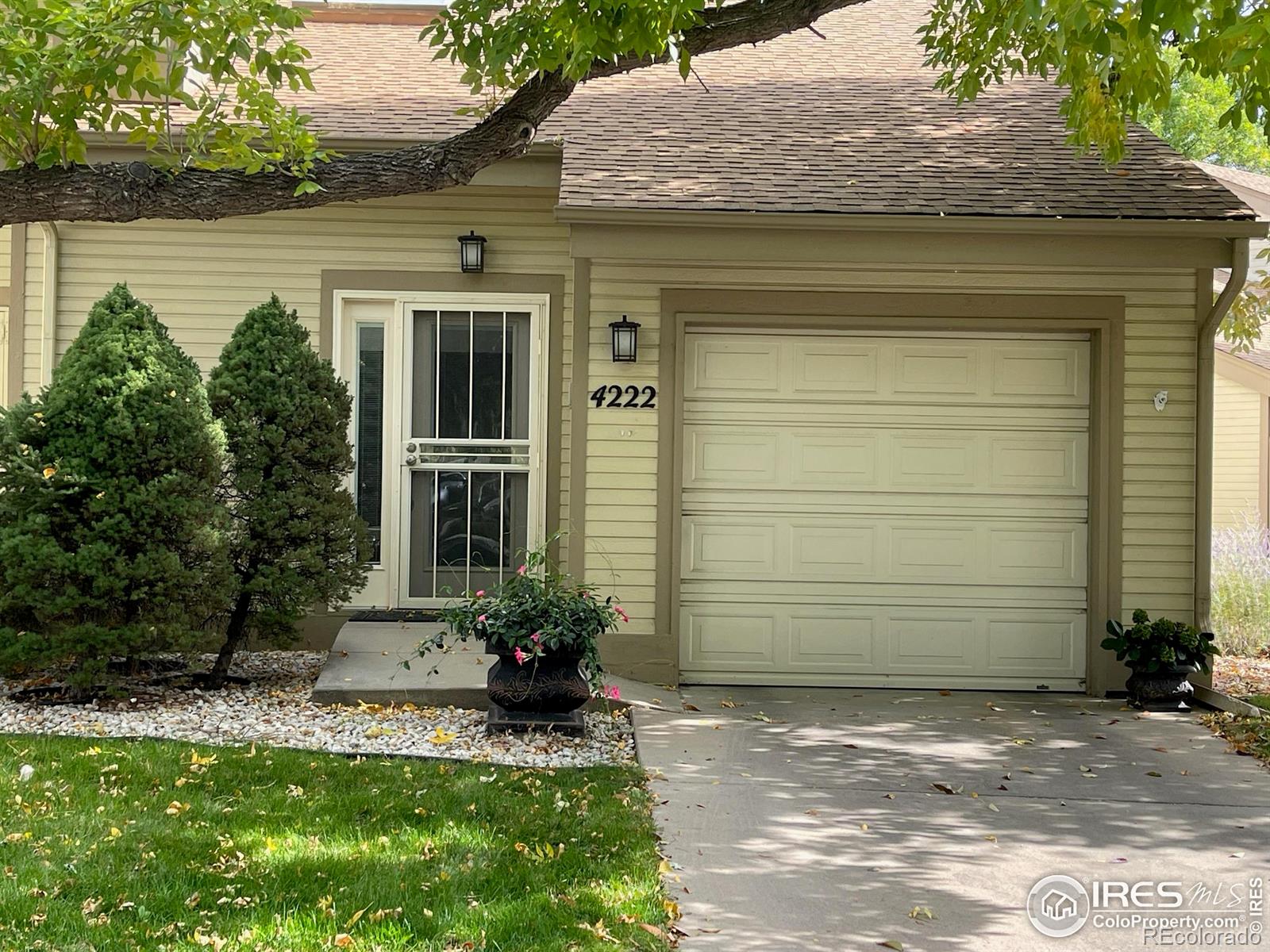 MLS Image #2 for 4222  owens street,wheat ridge, Colorado