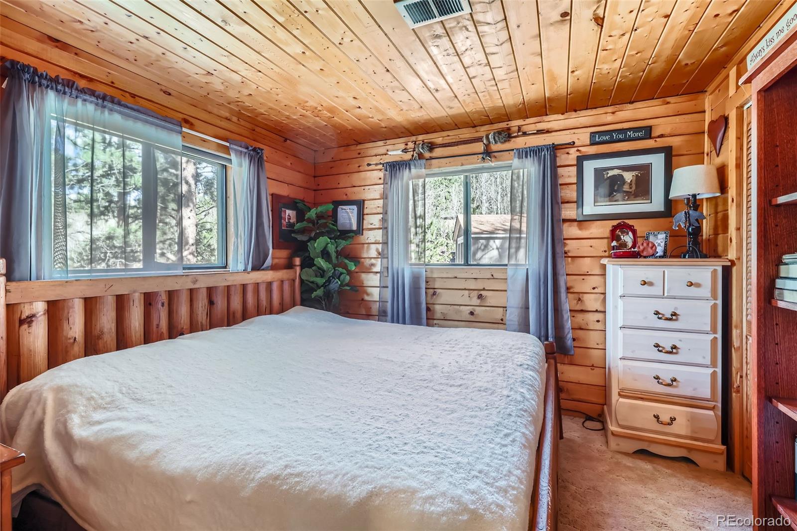 MLS Image #16 for 398  gross road,bailey, Colorado