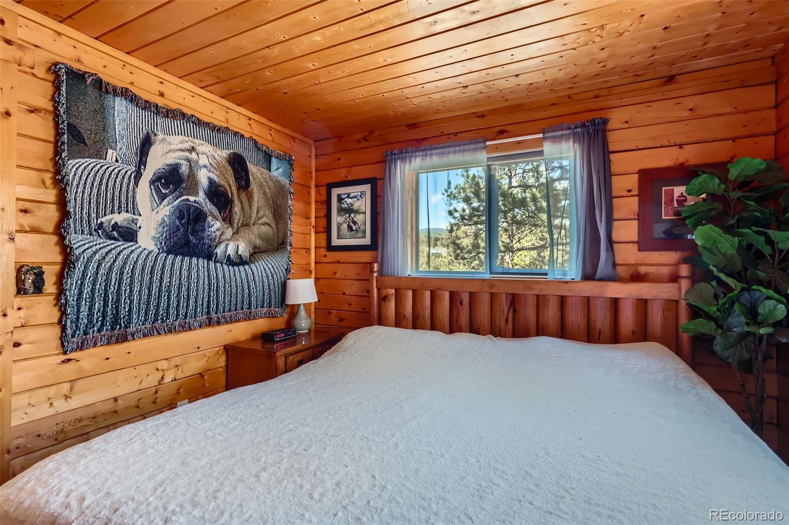 MLS Image #17 for 398  gross road,bailey, Colorado