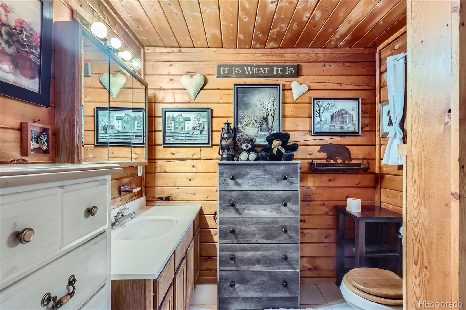 MLS Image #21 for 398  gross road,bailey, Colorado