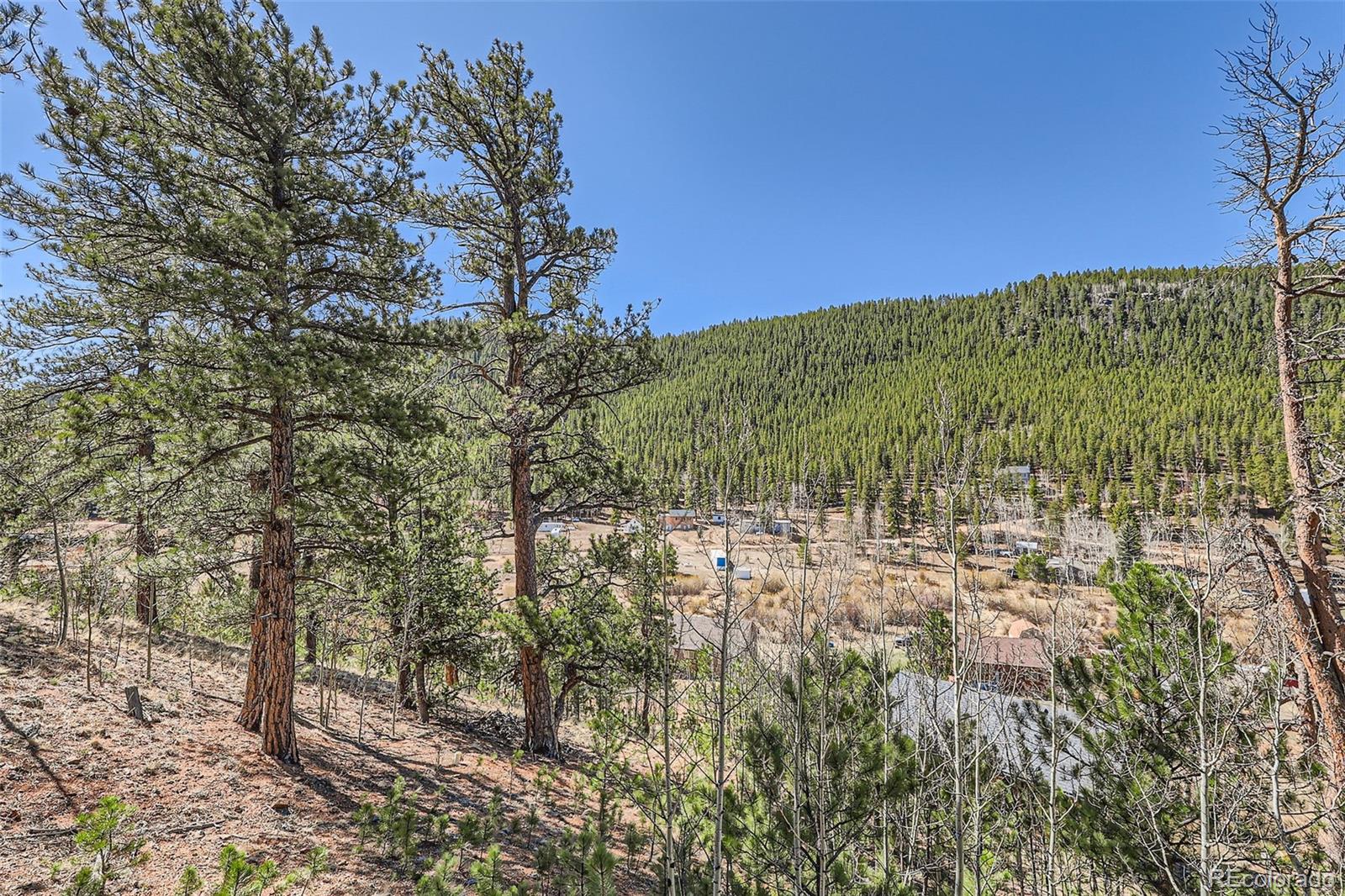 MLS Image #27 for 398  gross road,bailey, Colorado