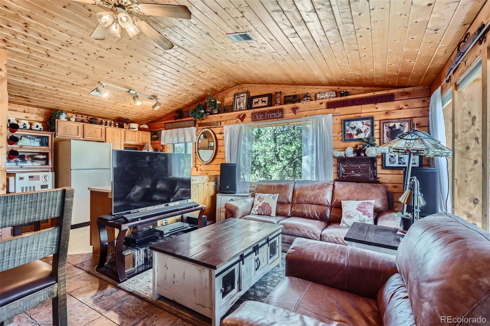 MLS Image #4 for 398  gross road,bailey, Colorado