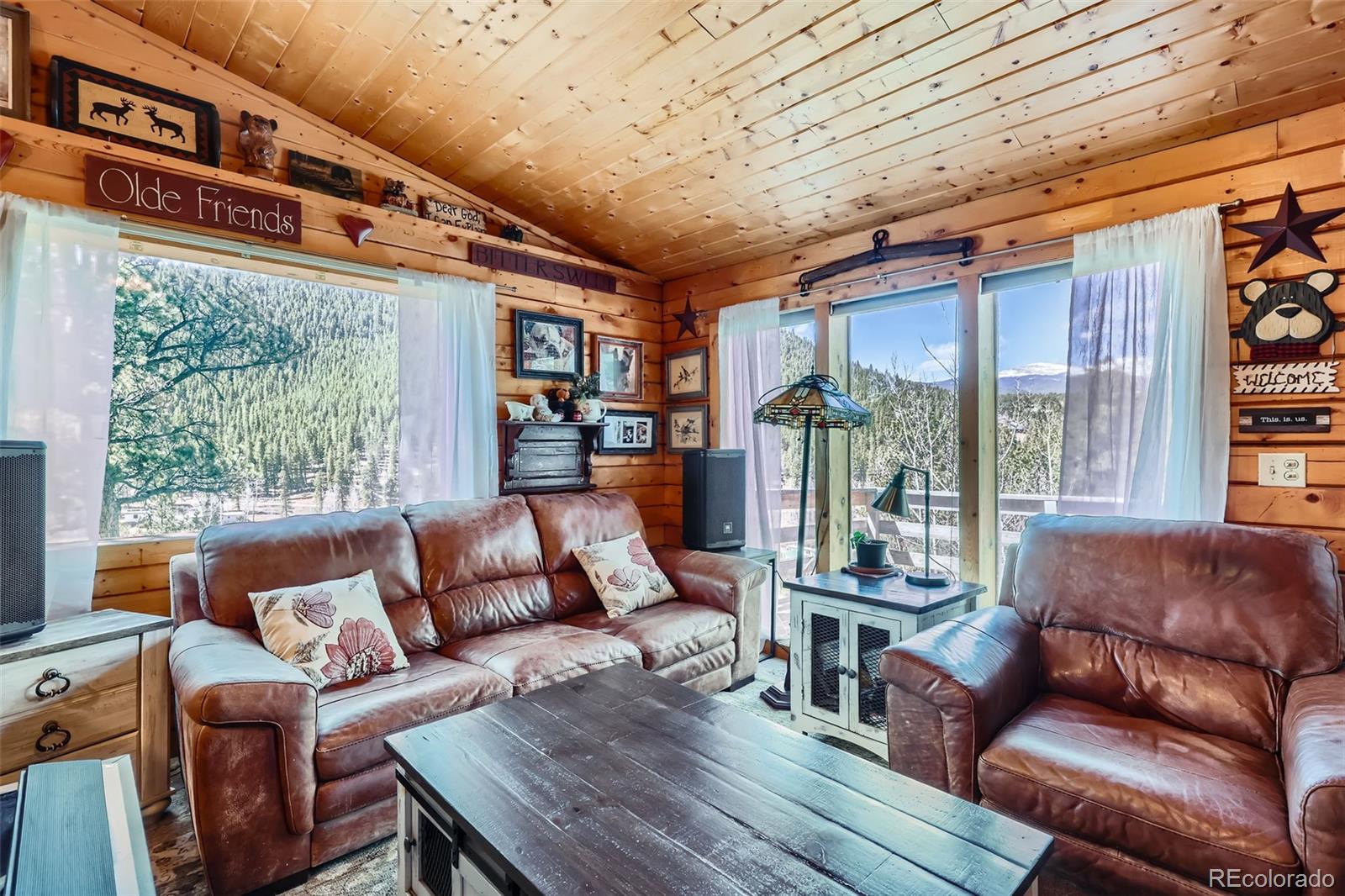 MLS Image #5 for 398  gross road,bailey, Colorado