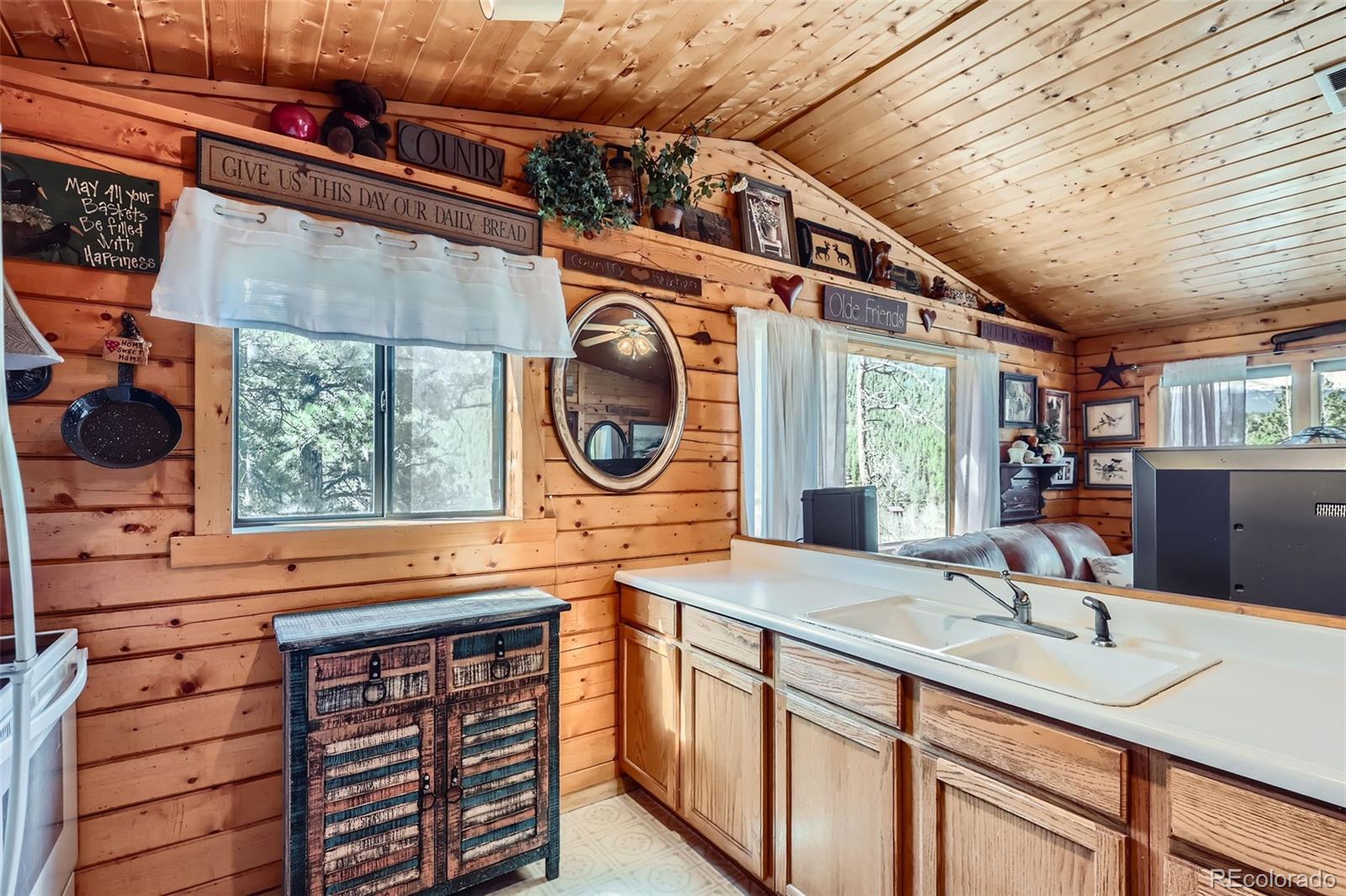 MLS Image #9 for 398  gross road,bailey, Colorado