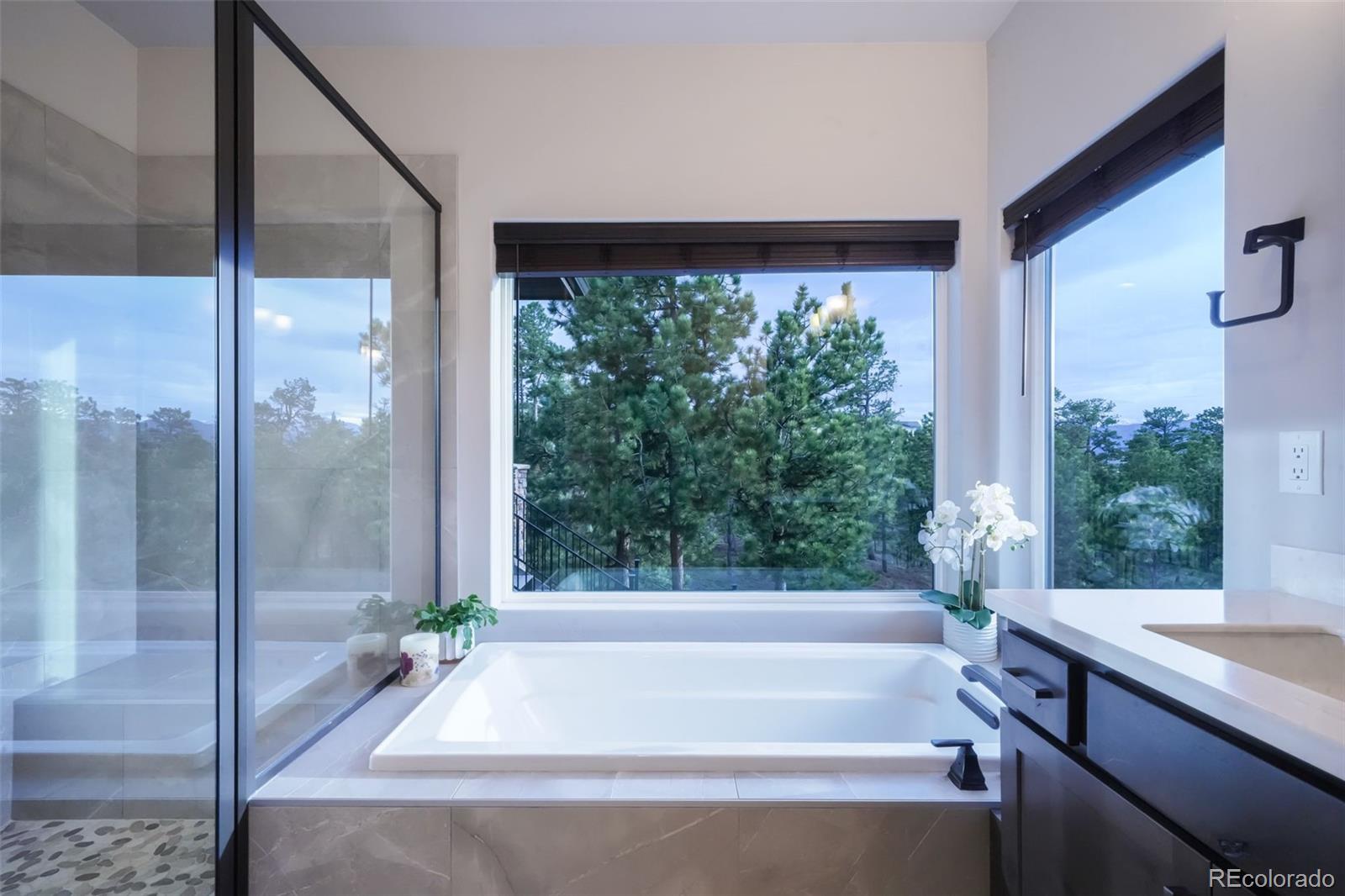 MLS Image #28 for 17548  colonial park drive,monument, Colorado