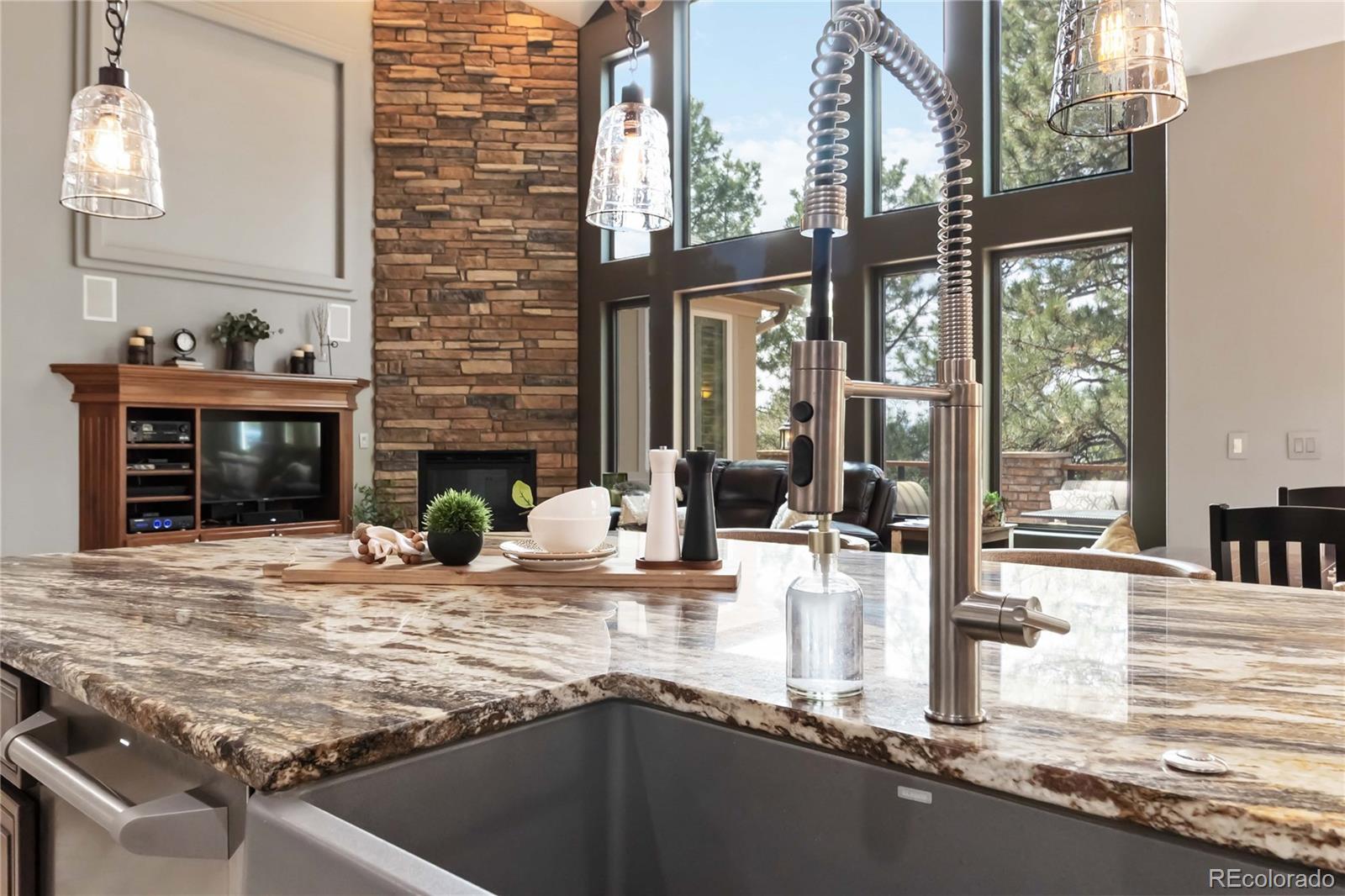 MLS Image #10 for 9009  rambling oak place,parker, Colorado