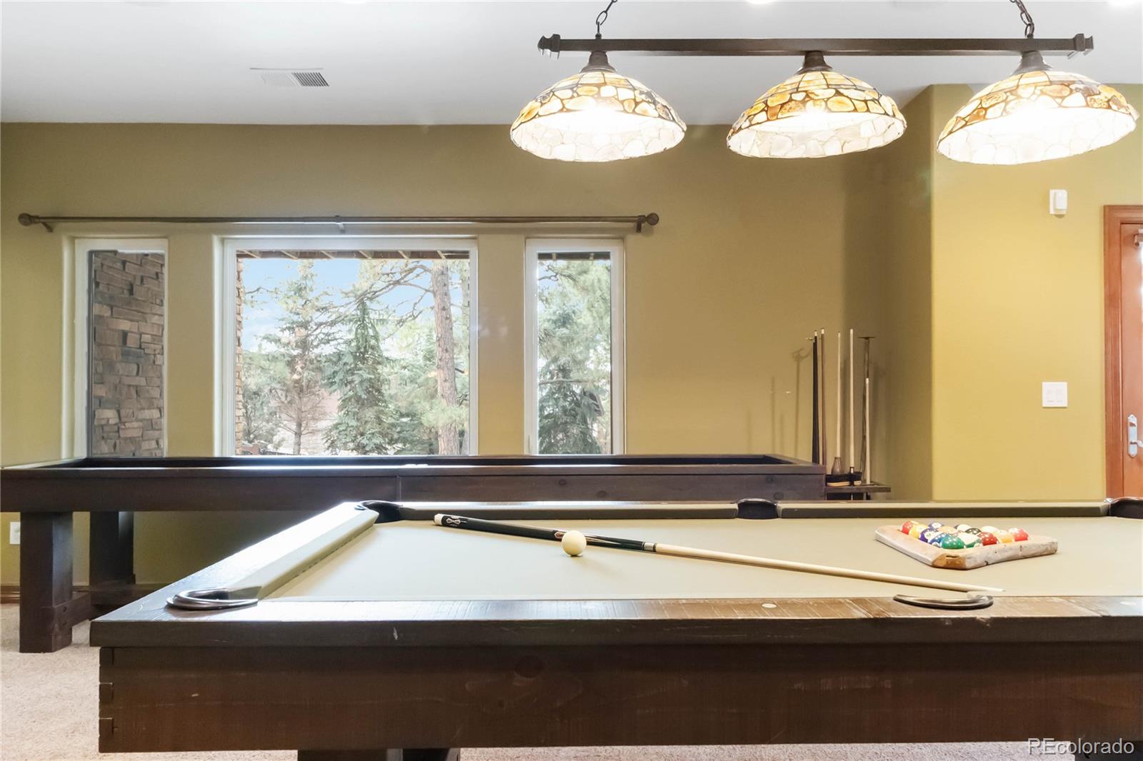 MLS Image #35 for 9009  rambling oak place,parker, Colorado