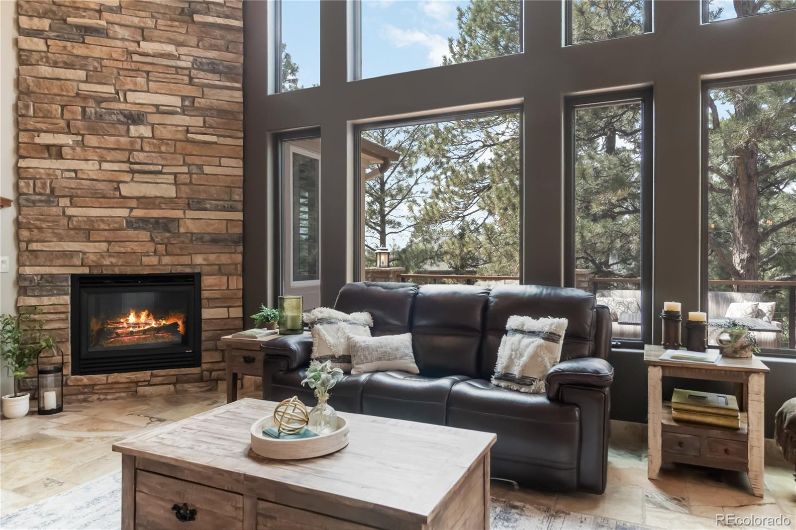 MLS Image #5 for 9009  rambling oak place,parker, Colorado