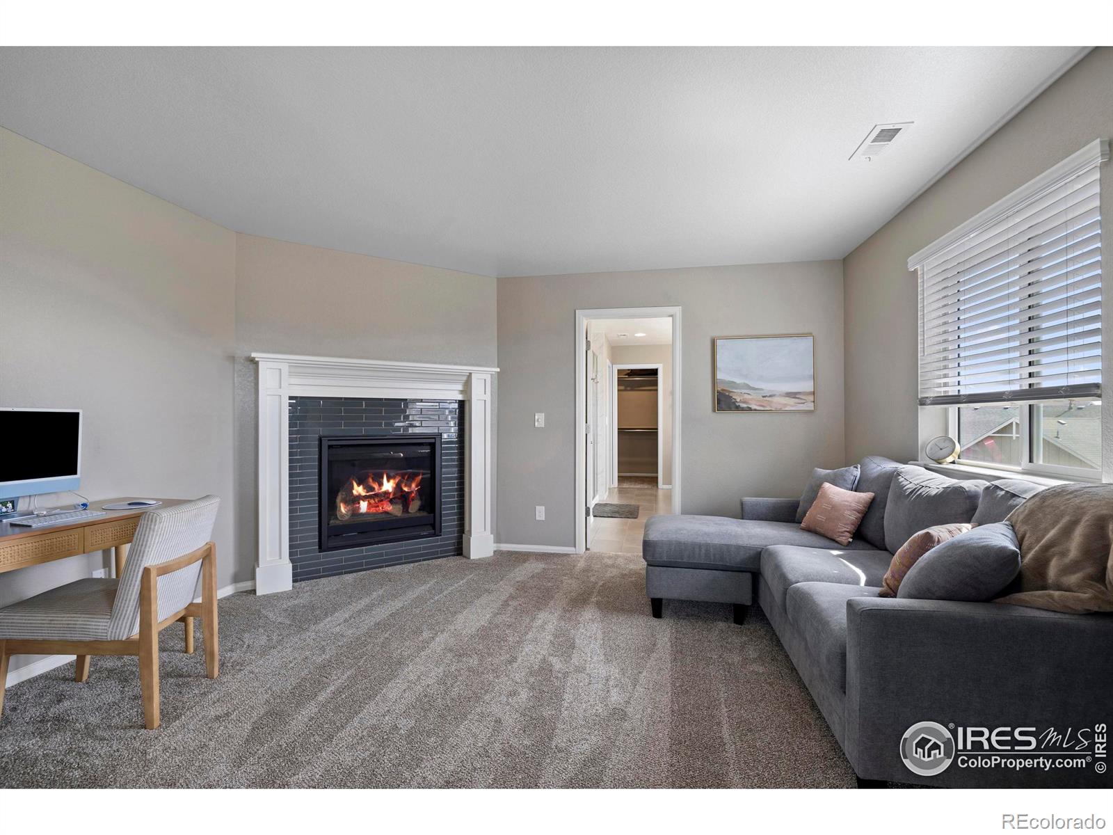 MLS Image #15 for 6109  washakie court,timnath, Colorado