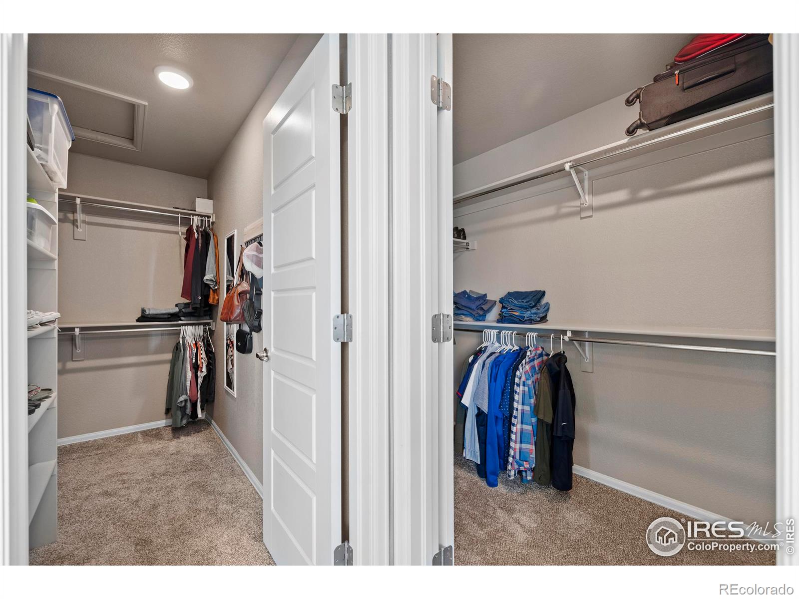 MLS Image #18 for 6109  washakie court,timnath, Colorado