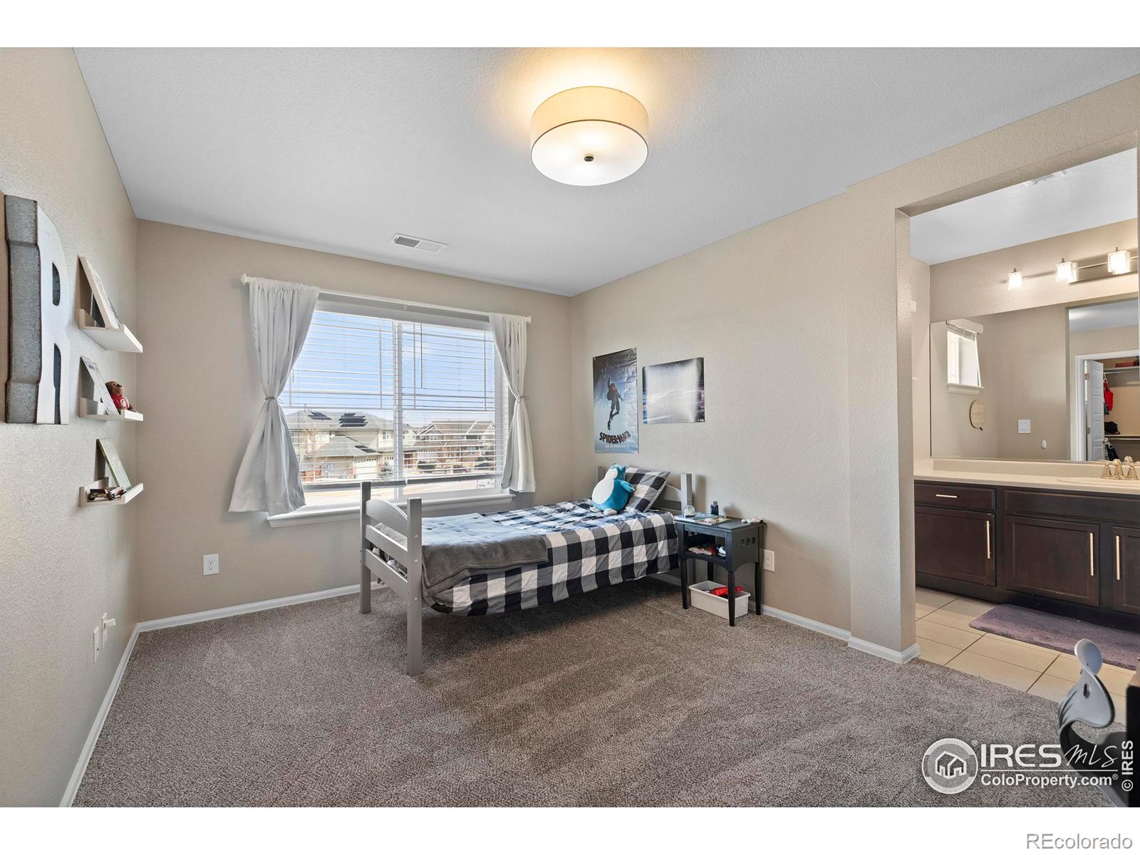 MLS Image #19 for 6109  washakie court,timnath, Colorado