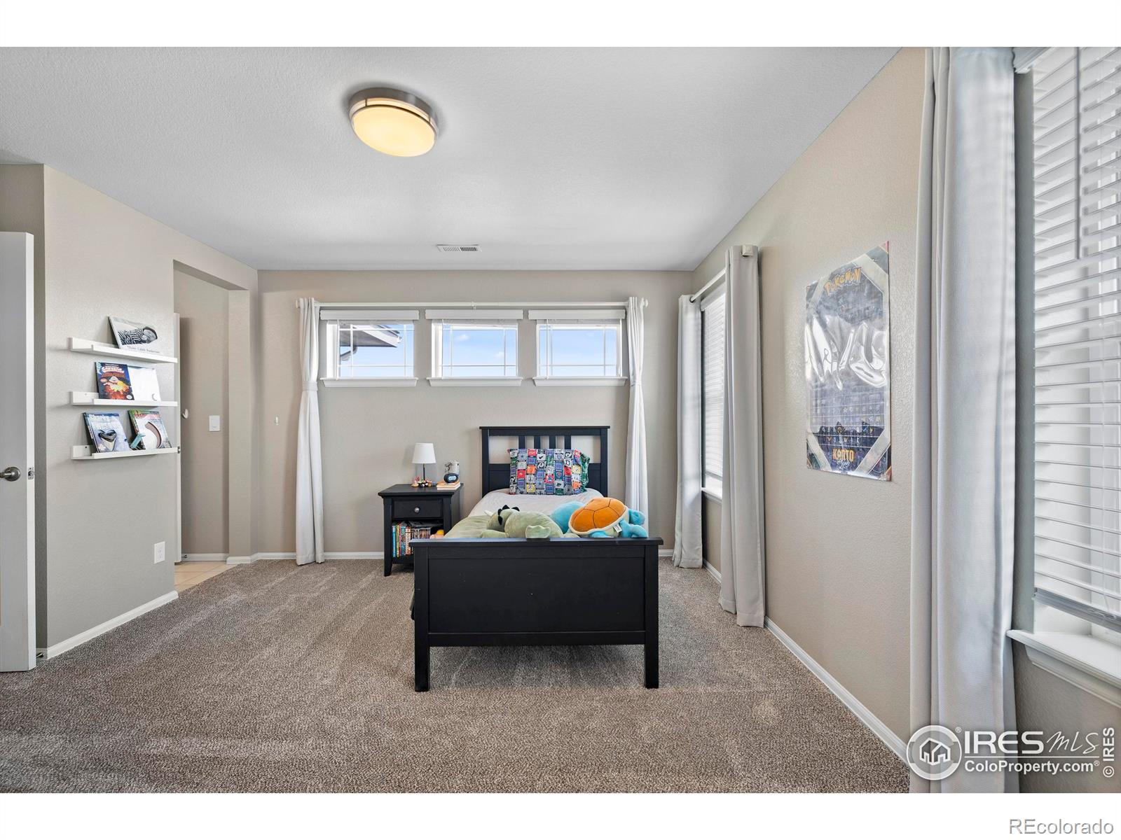MLS Image #21 for 6109  washakie court,timnath, Colorado