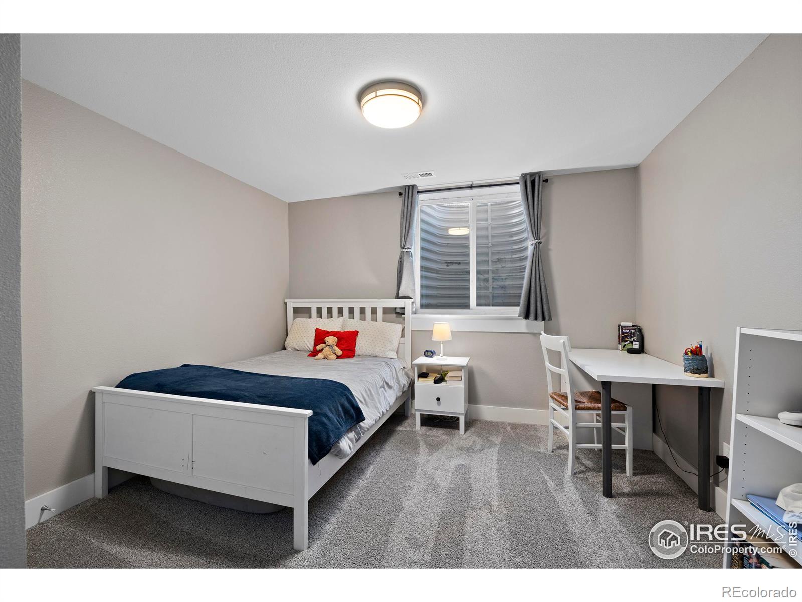 MLS Image #27 for 6109  washakie court,timnath, Colorado