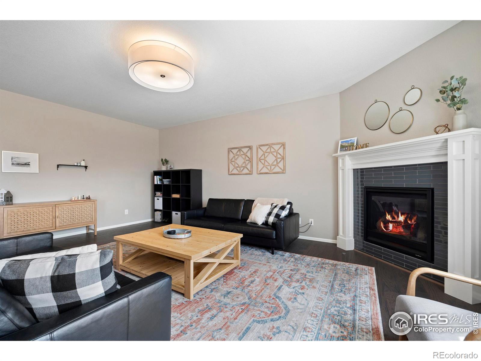 MLS Image #8 for 6109  washakie court,timnath, Colorado