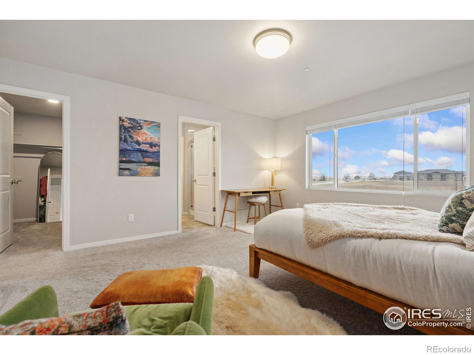 MLS Image #14 for 4812  bourgmont court,timnath, Colorado