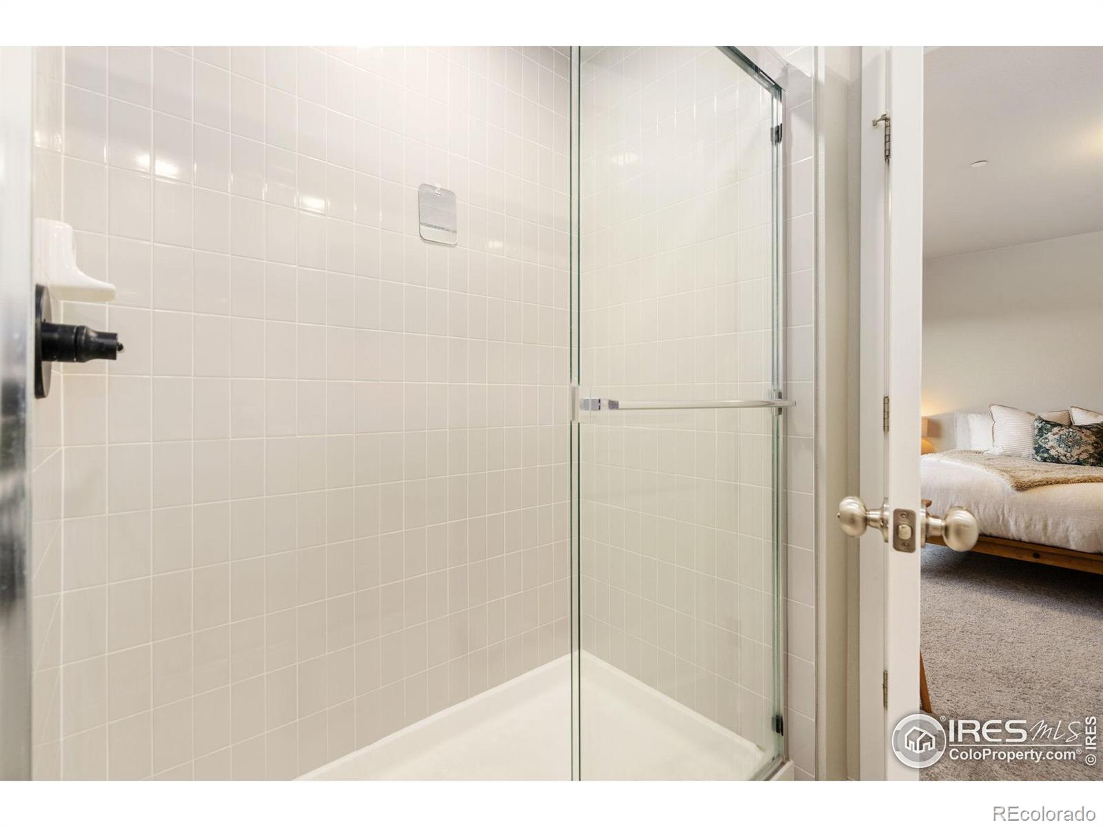 MLS Image #17 for 4812  bourgmont court,timnath, Colorado