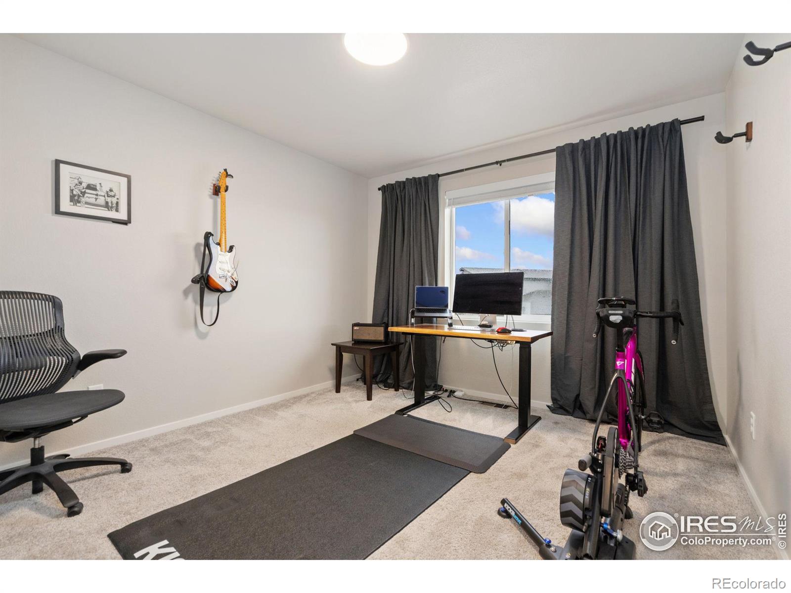 MLS Image #18 for 4812  bourgmont court,timnath, Colorado