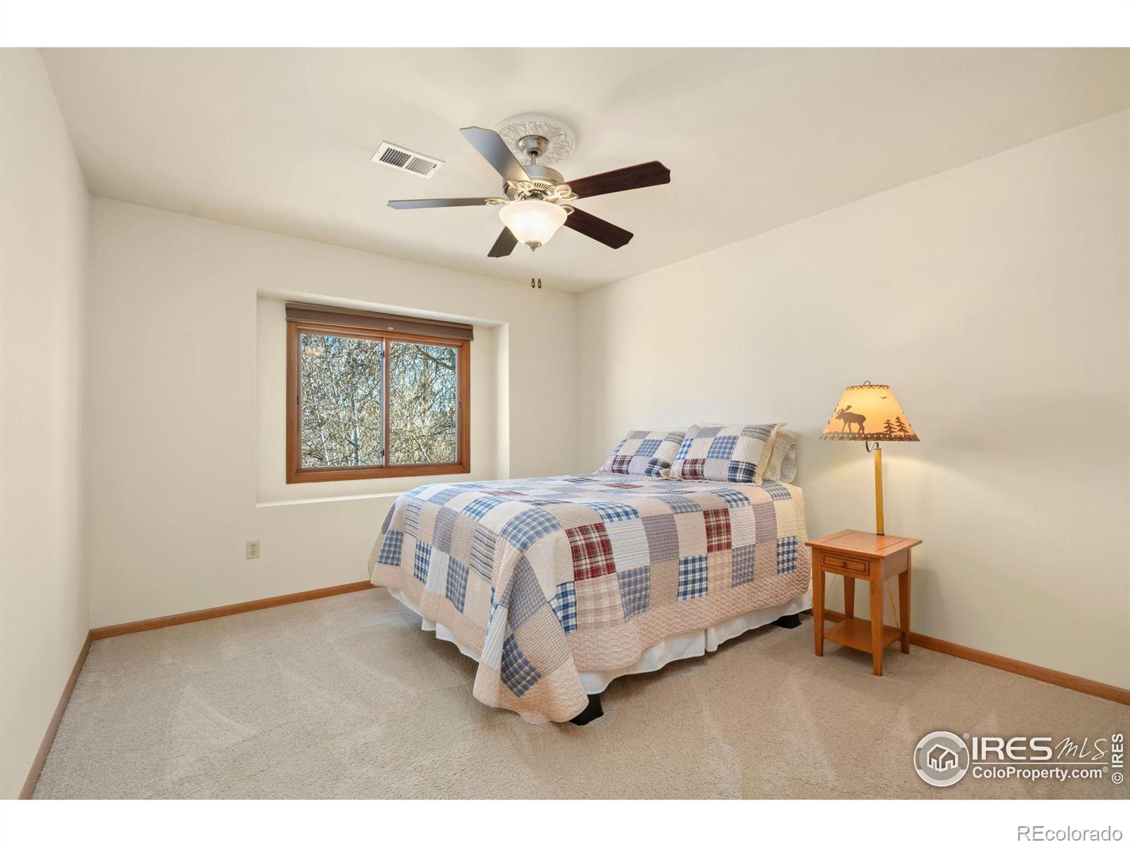 MLS Image #21 for 3367  nederland drive,loveland, Colorado