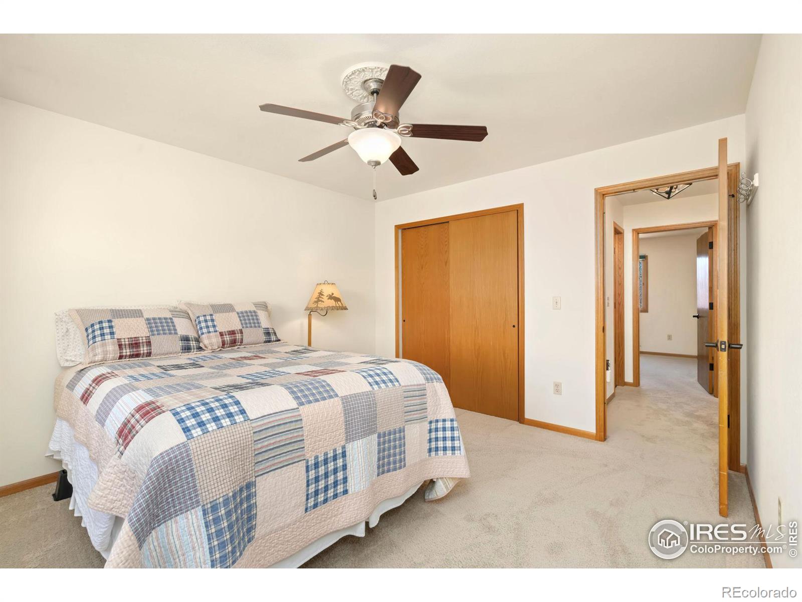 MLS Image #22 for 3367  nederland drive,loveland, Colorado