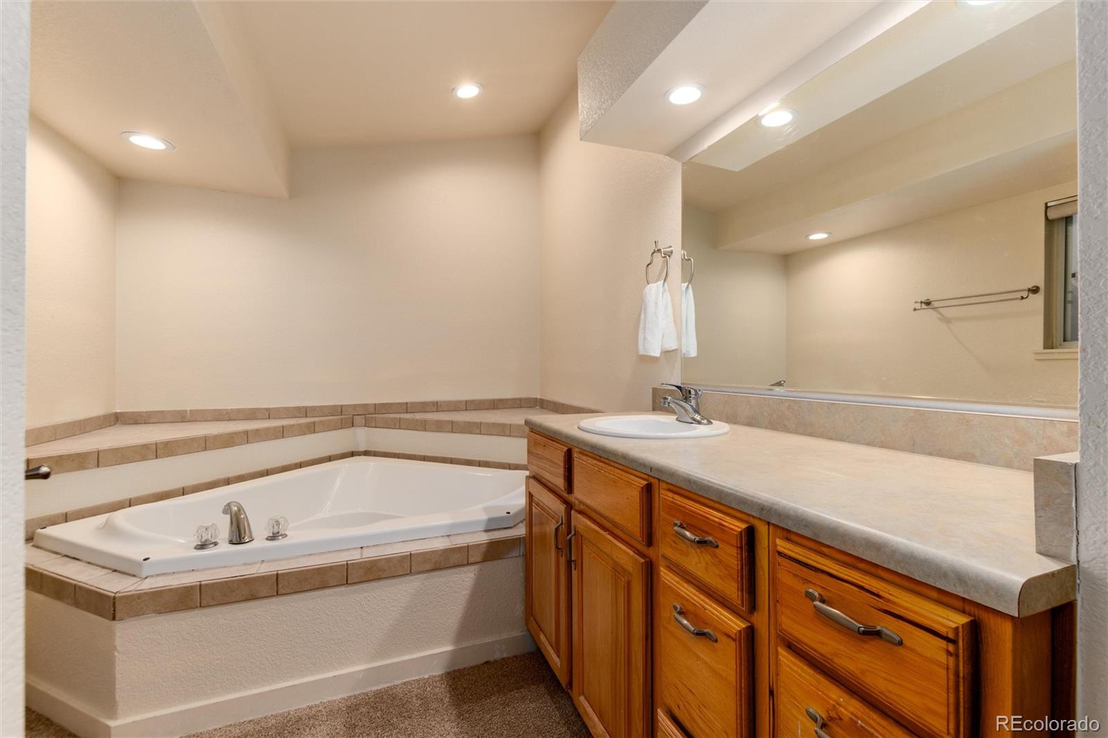 MLS Image #11 for 250  upper forest road,idaho springs, Colorado