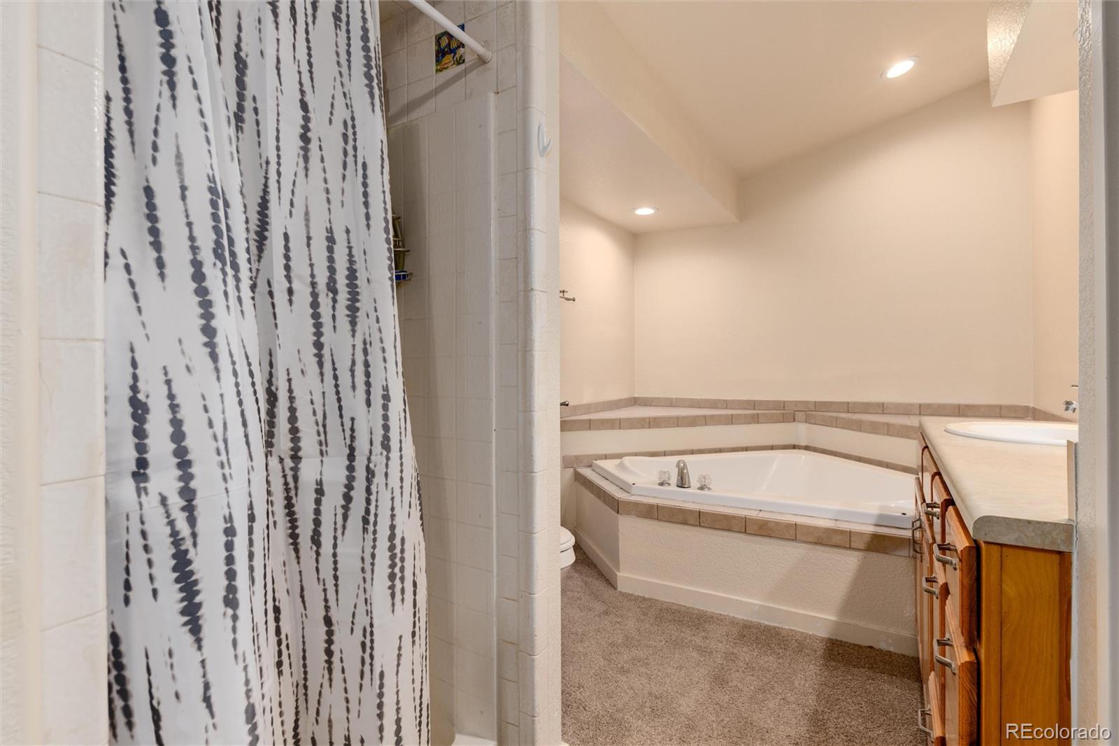 MLS Image #12 for 250  upper forest road,idaho springs, Colorado