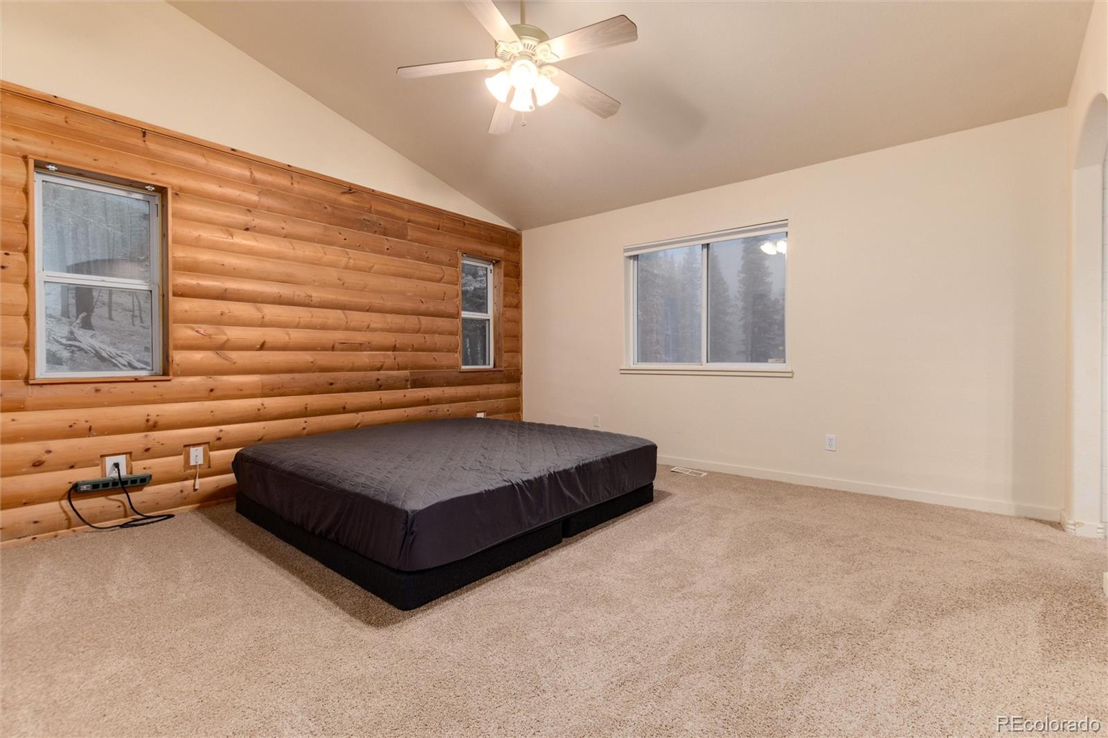 MLS Image #8 for 250  upper forest road,idaho springs, Colorado
