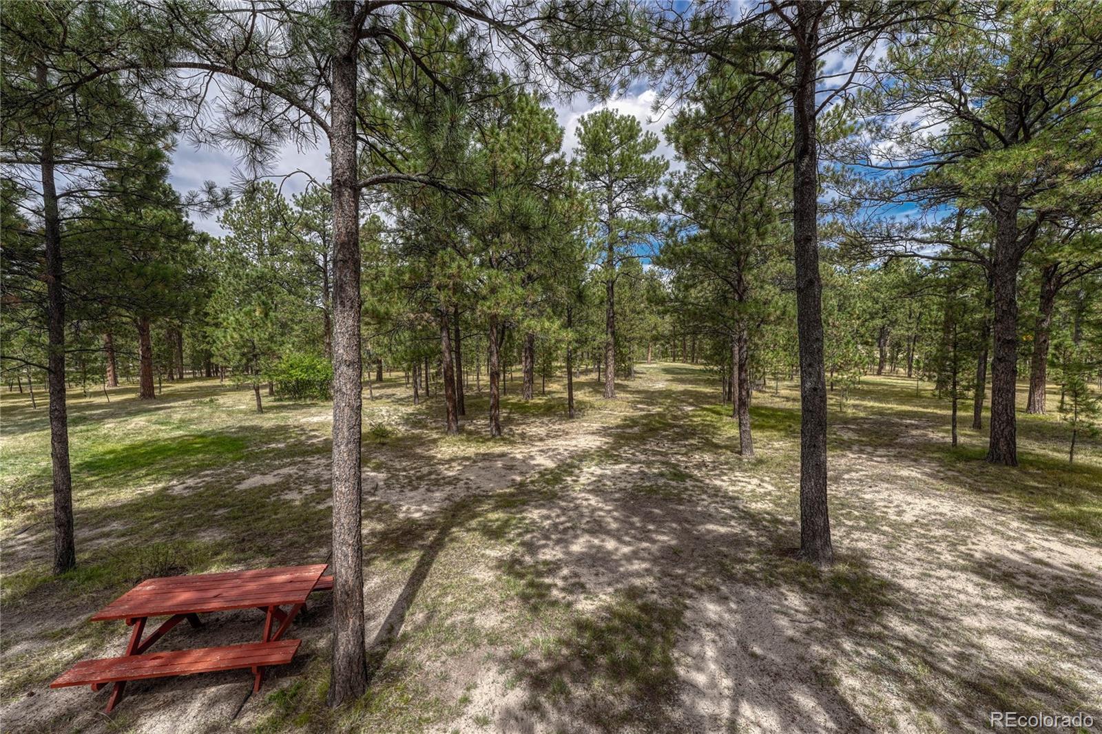 CMA Image for 8510  wilderness drive,Colorado Springs, Colorado