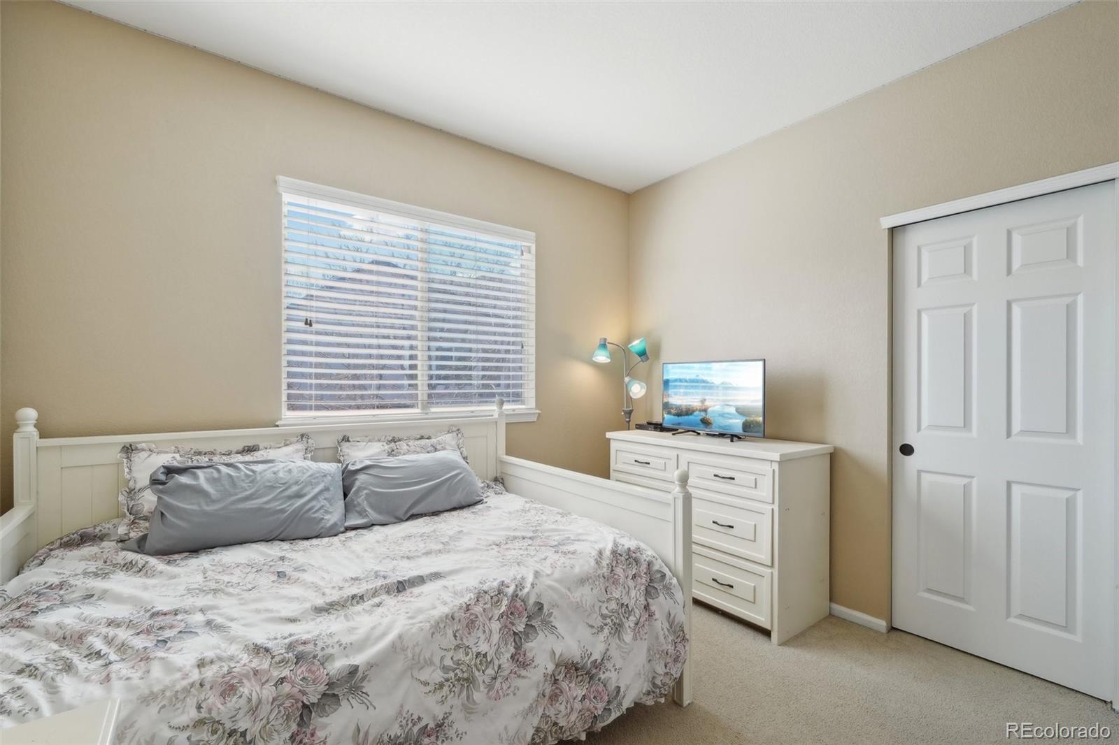 MLS Image #28 for 10572  jaguar glen,lone tree, Colorado