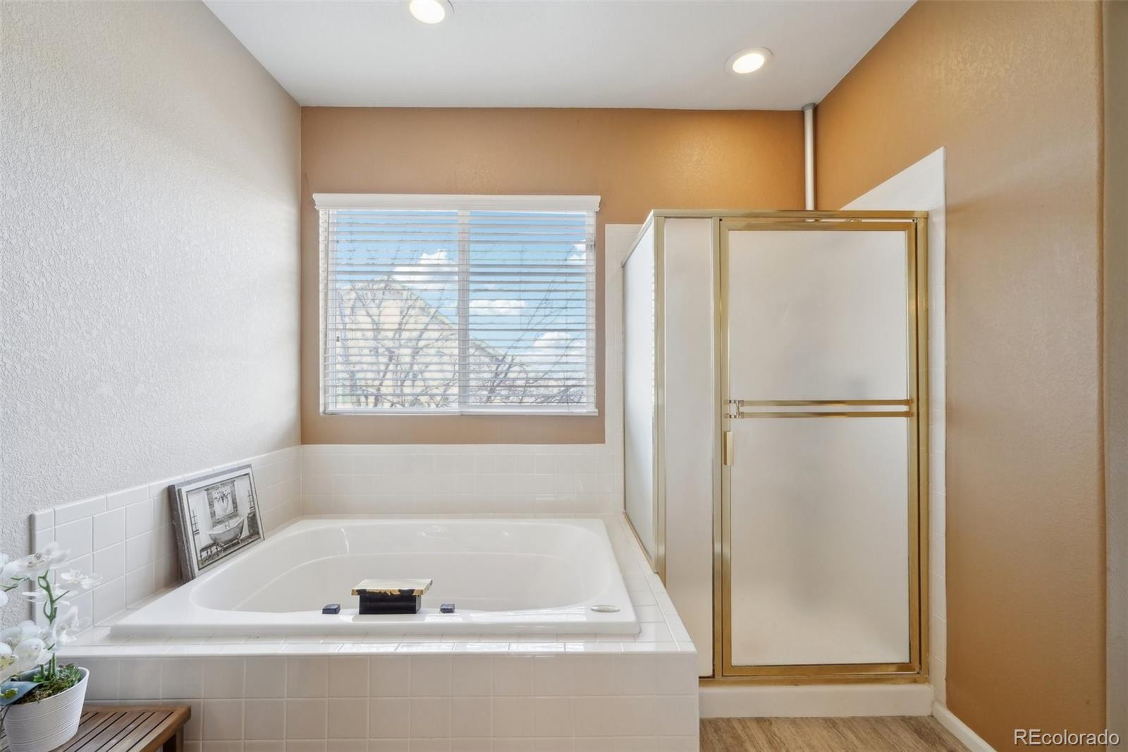 MLS Image #35 for 10572  jaguar glen,lone tree, Colorado