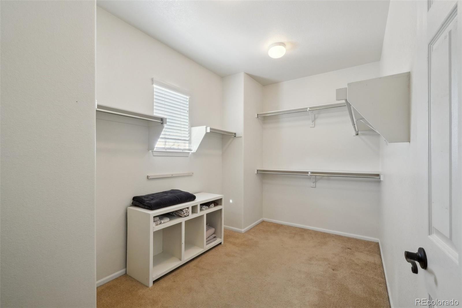 MLS Image #37 for 10572  jaguar glen,lone tree, Colorado