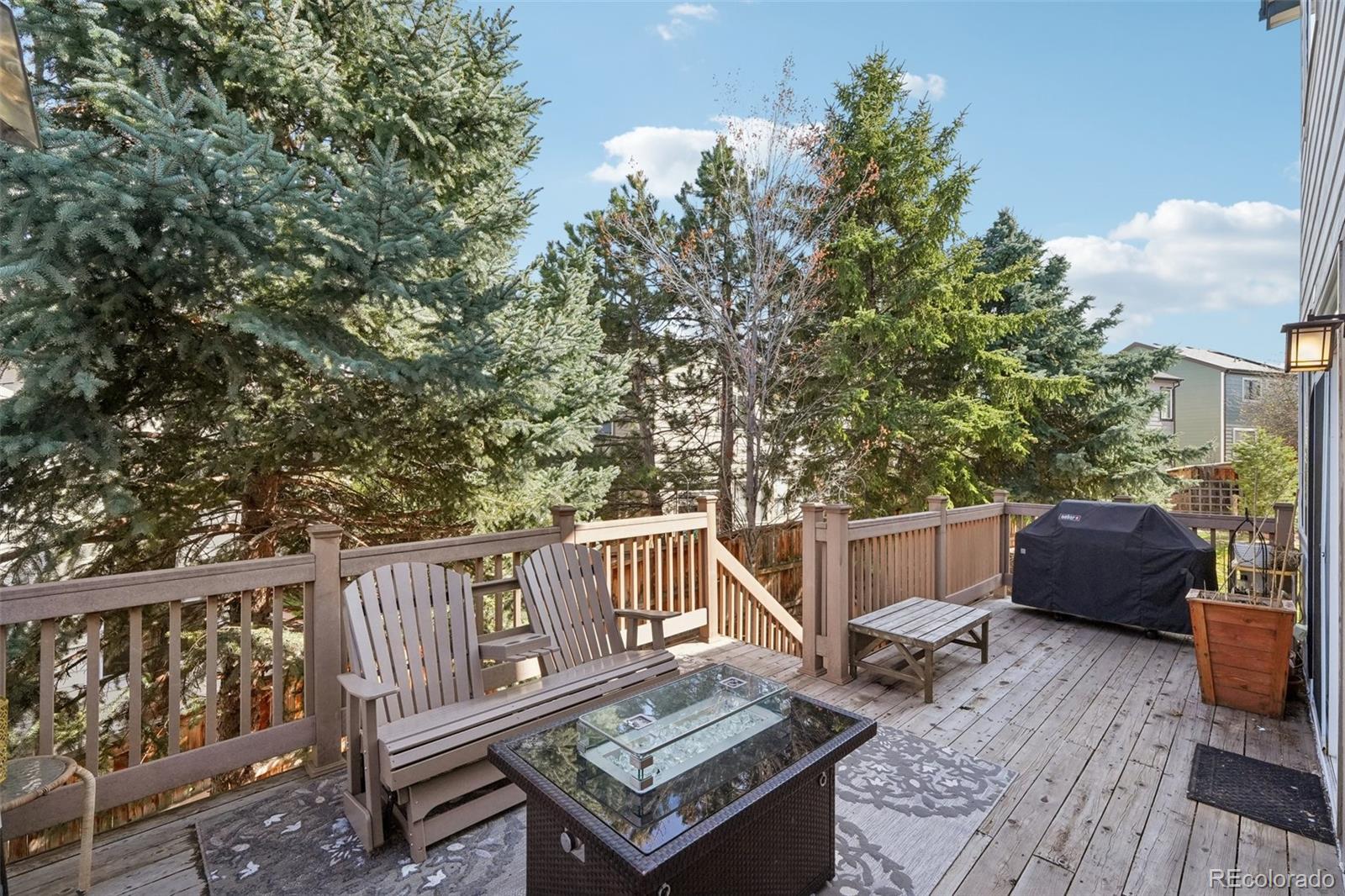 MLS Image #44 for 10572  jaguar glen,lone tree, Colorado