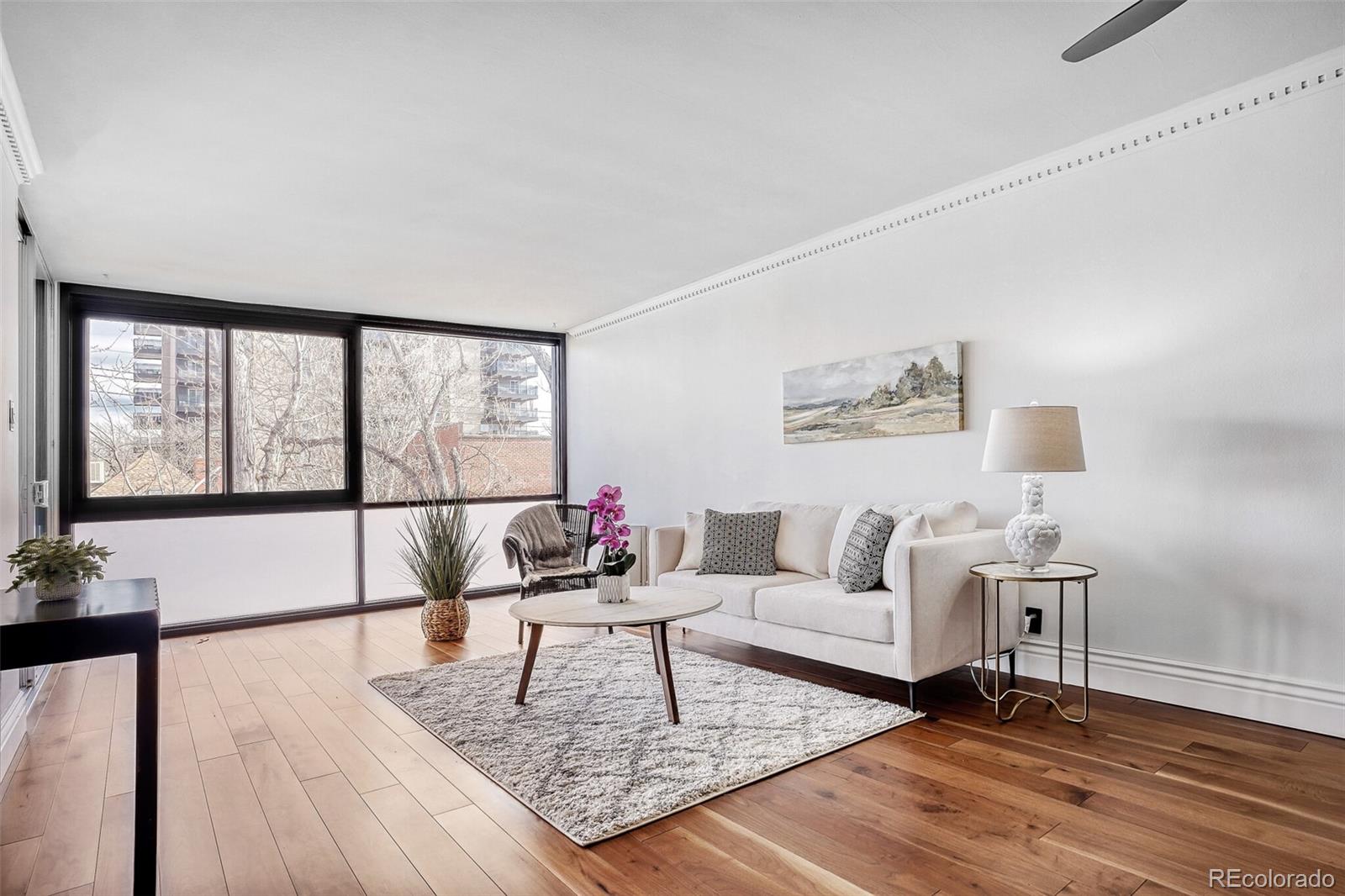 MLS Image #1 for 1050 n corona street 308,denver, Colorado