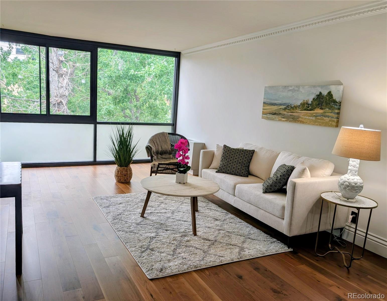 MLS Image #3 for 1050 n corona street 308,denver, Colorado