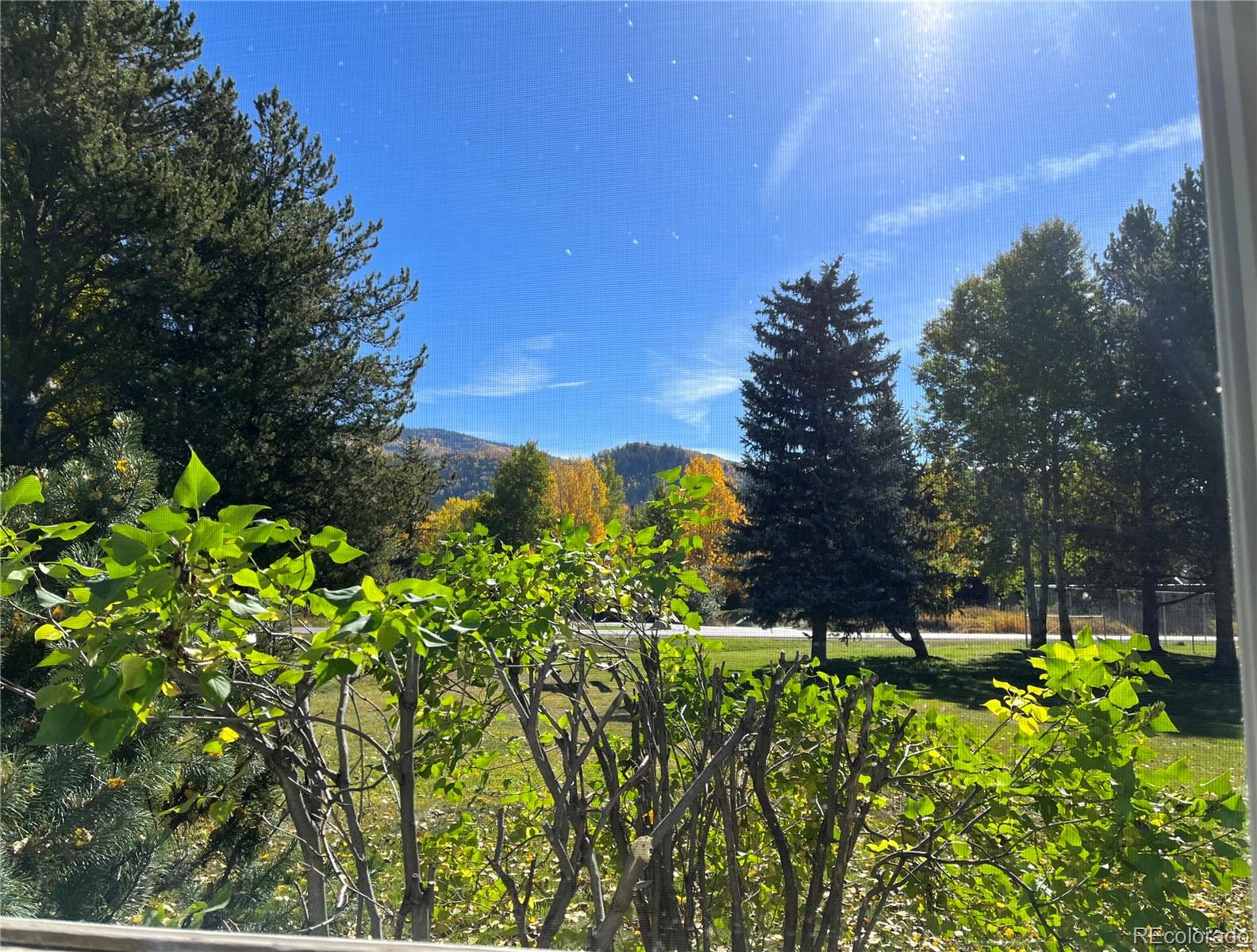 MLS Image #16 for 1410  athens plaza,steamboat springs, Colorado