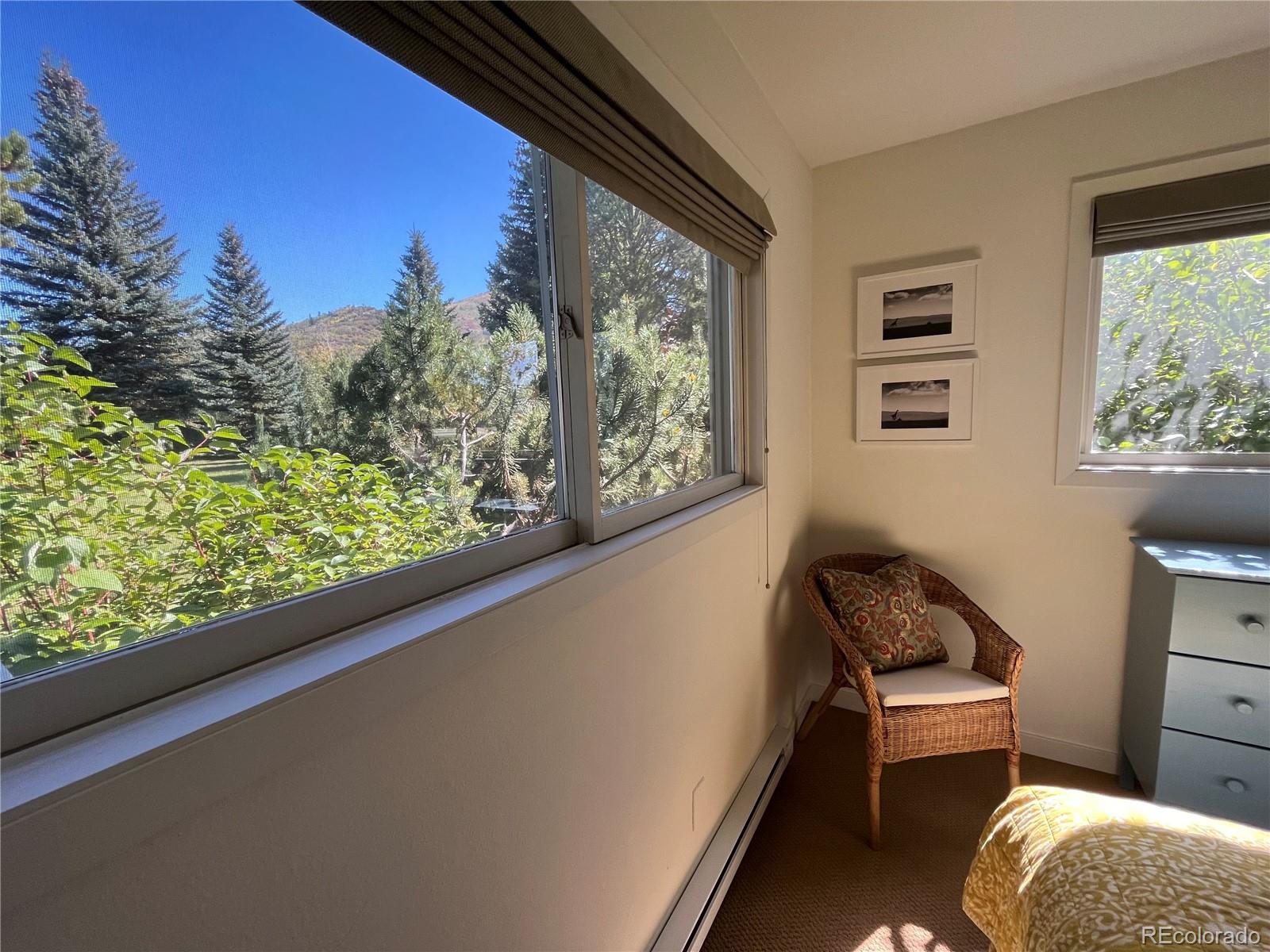 MLS Image #8 for 1410  athens plaza,steamboat springs, Colorado
