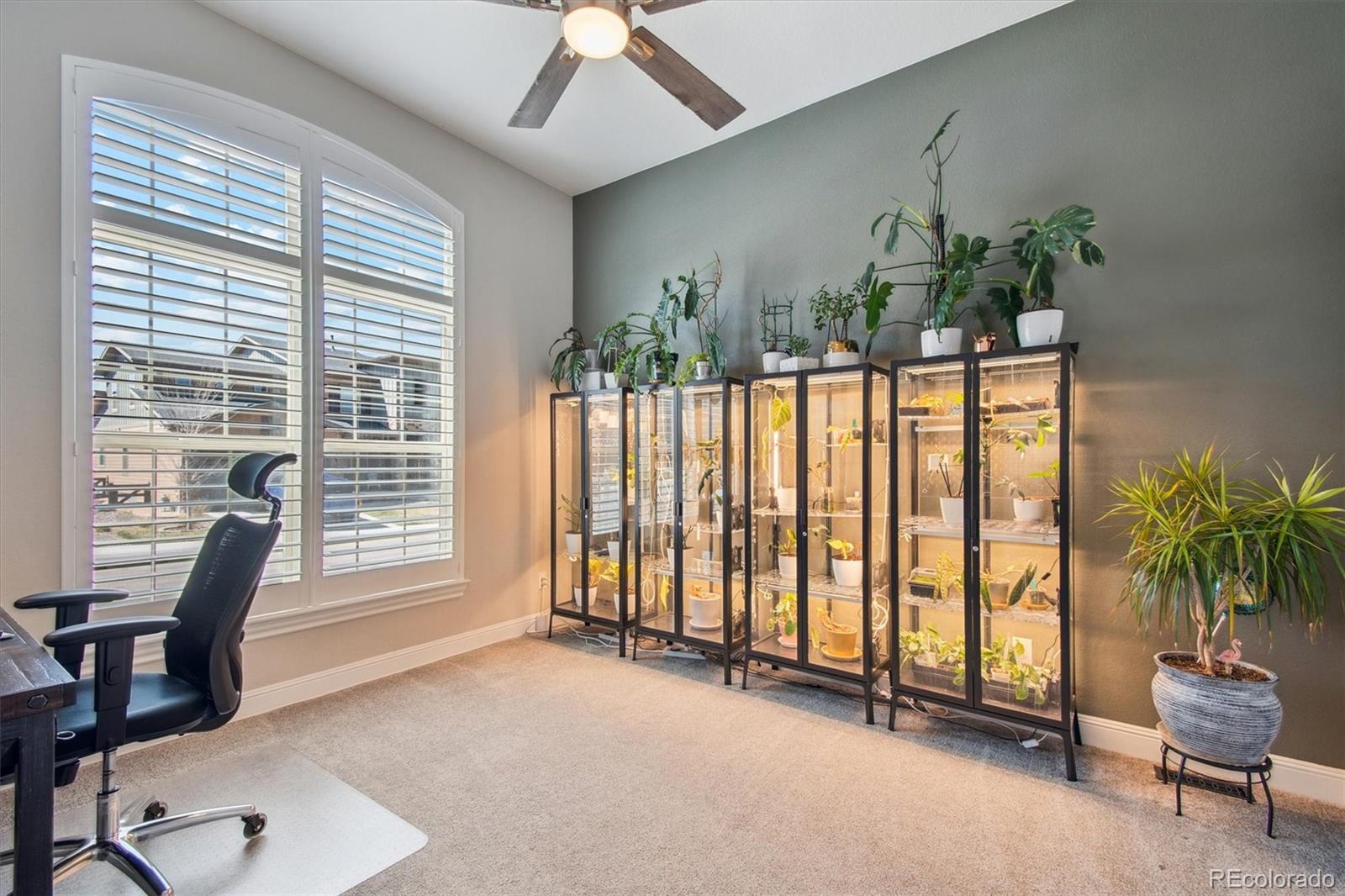 MLS Image #20 for 14160  ivanhoe street,thornton, Colorado