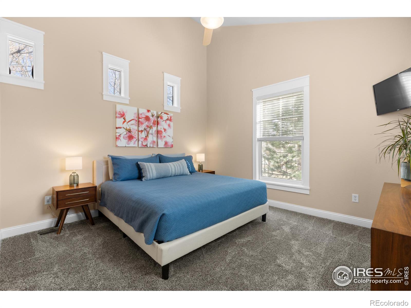 MLS Image #13 for 1016  katy lane,longmont, Colorado
