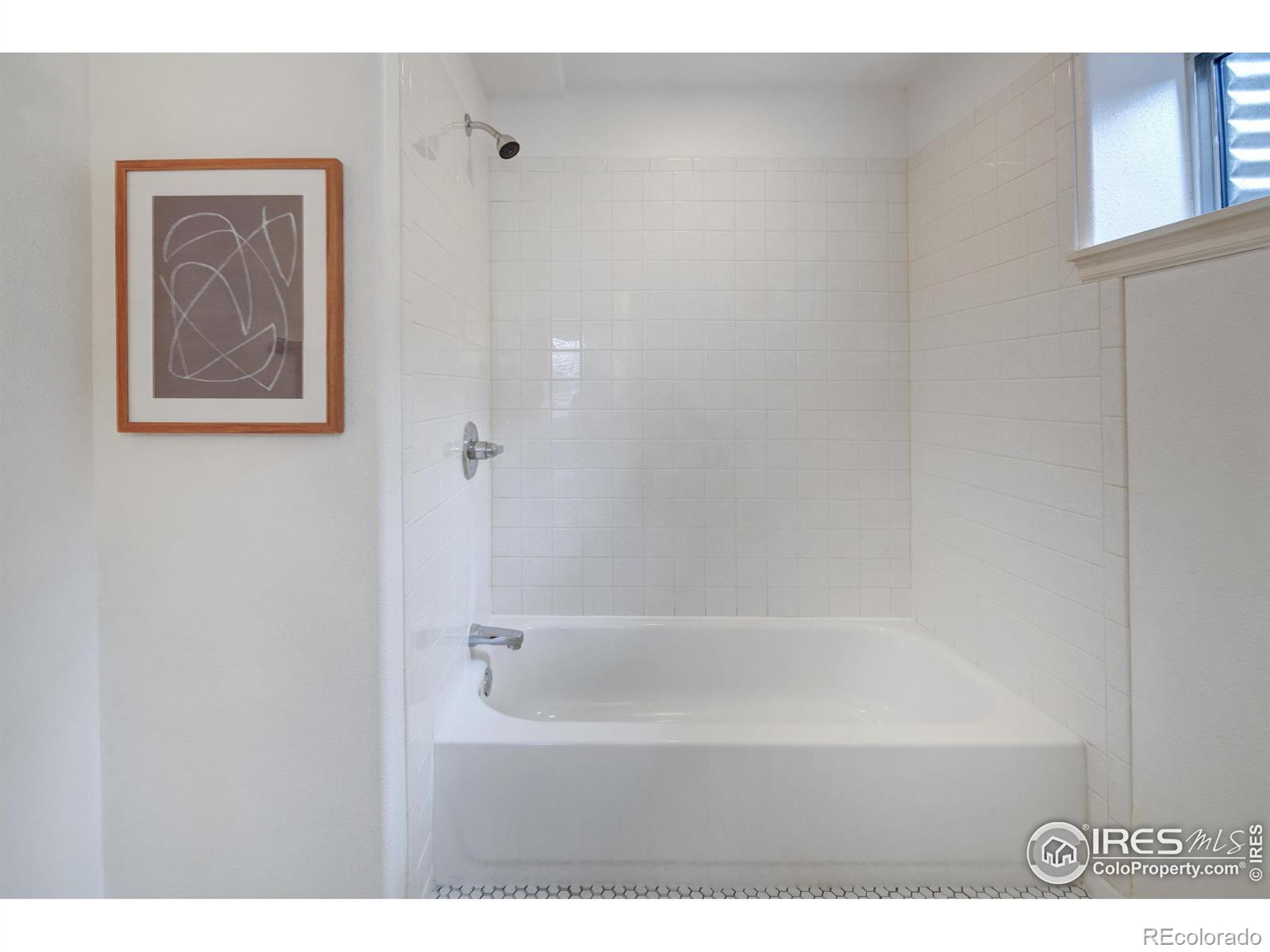MLS Image #13 for 217  welch drive,lyons, Colorado