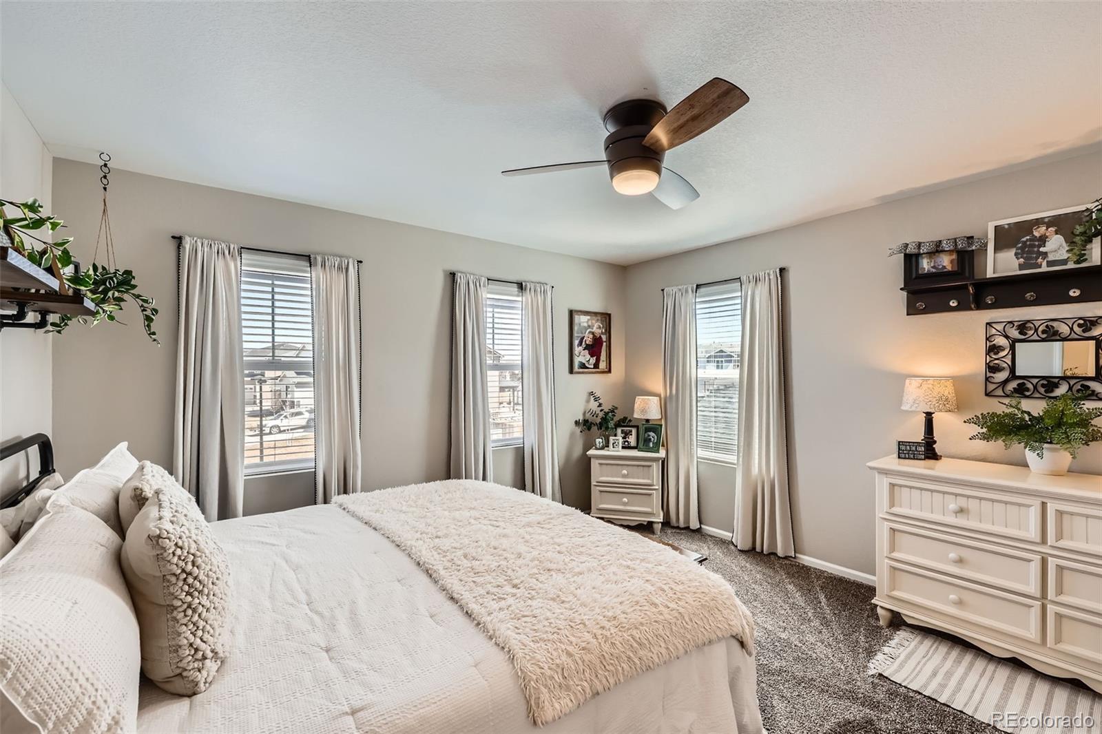 MLS Image #13 for 148  vista cliff circle,castle rock, Colorado