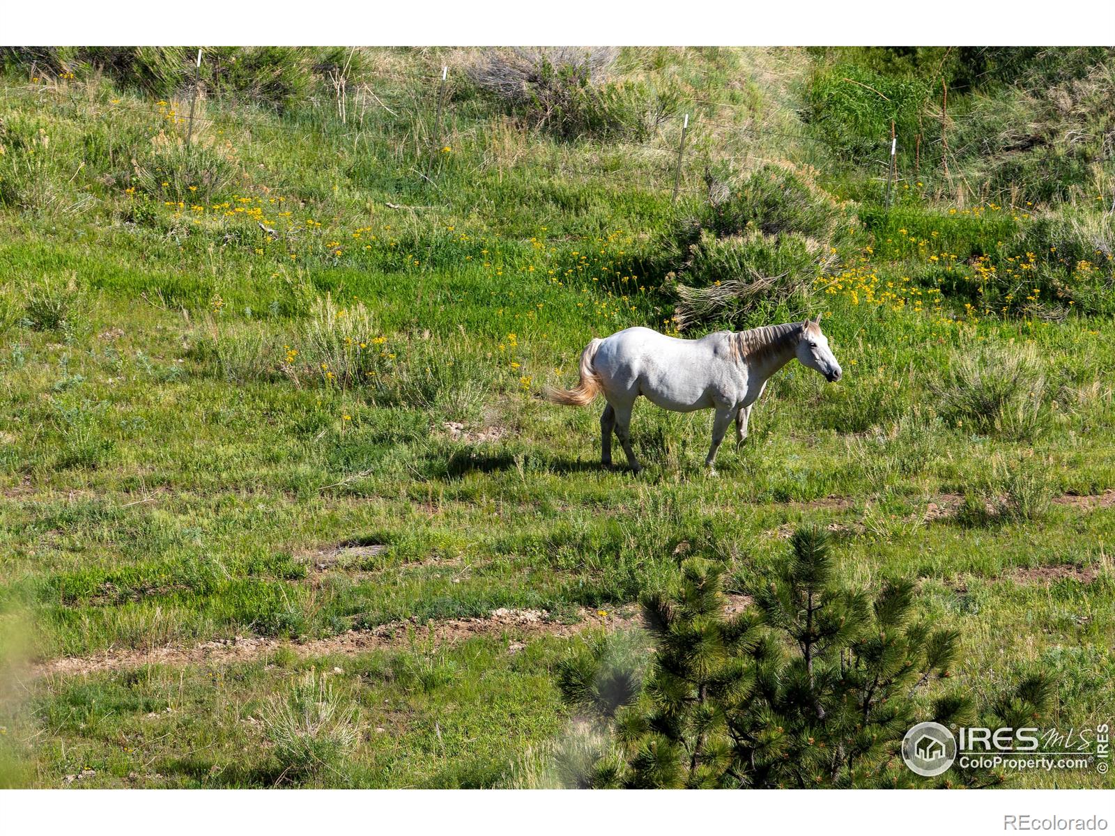 MLS Image #28 for 370  blue mountain trail,lyons, Colorado