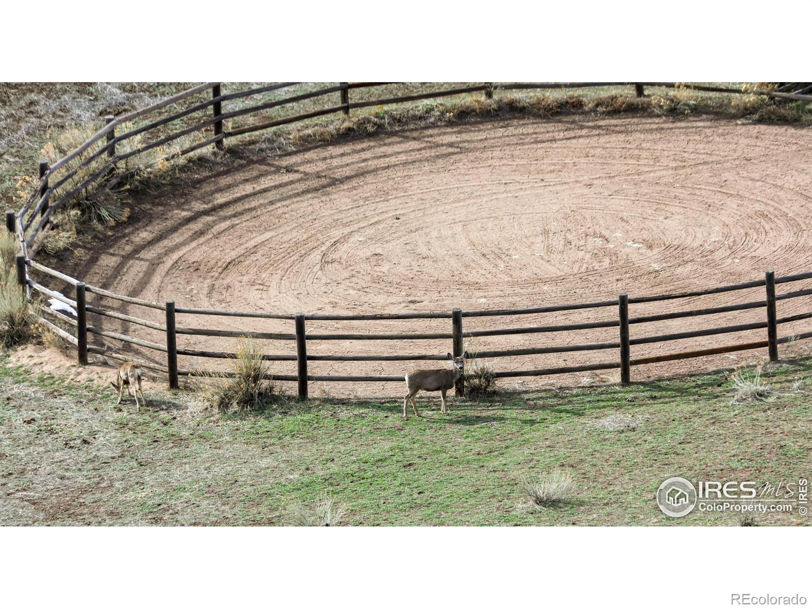 MLS Image #29 for 370  blue mountain trail,lyons, Colorado