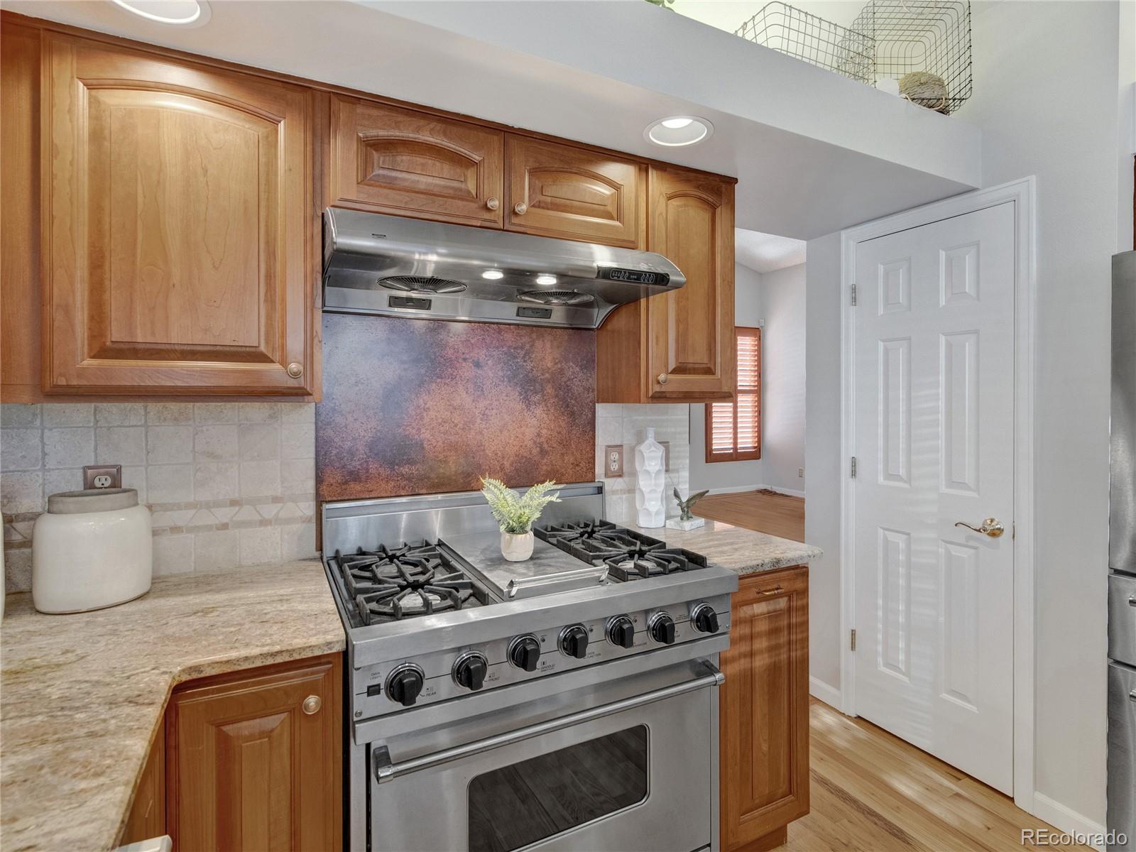 MLS Image #16 for 9688  chesapeake street,highlands ranch, Colorado