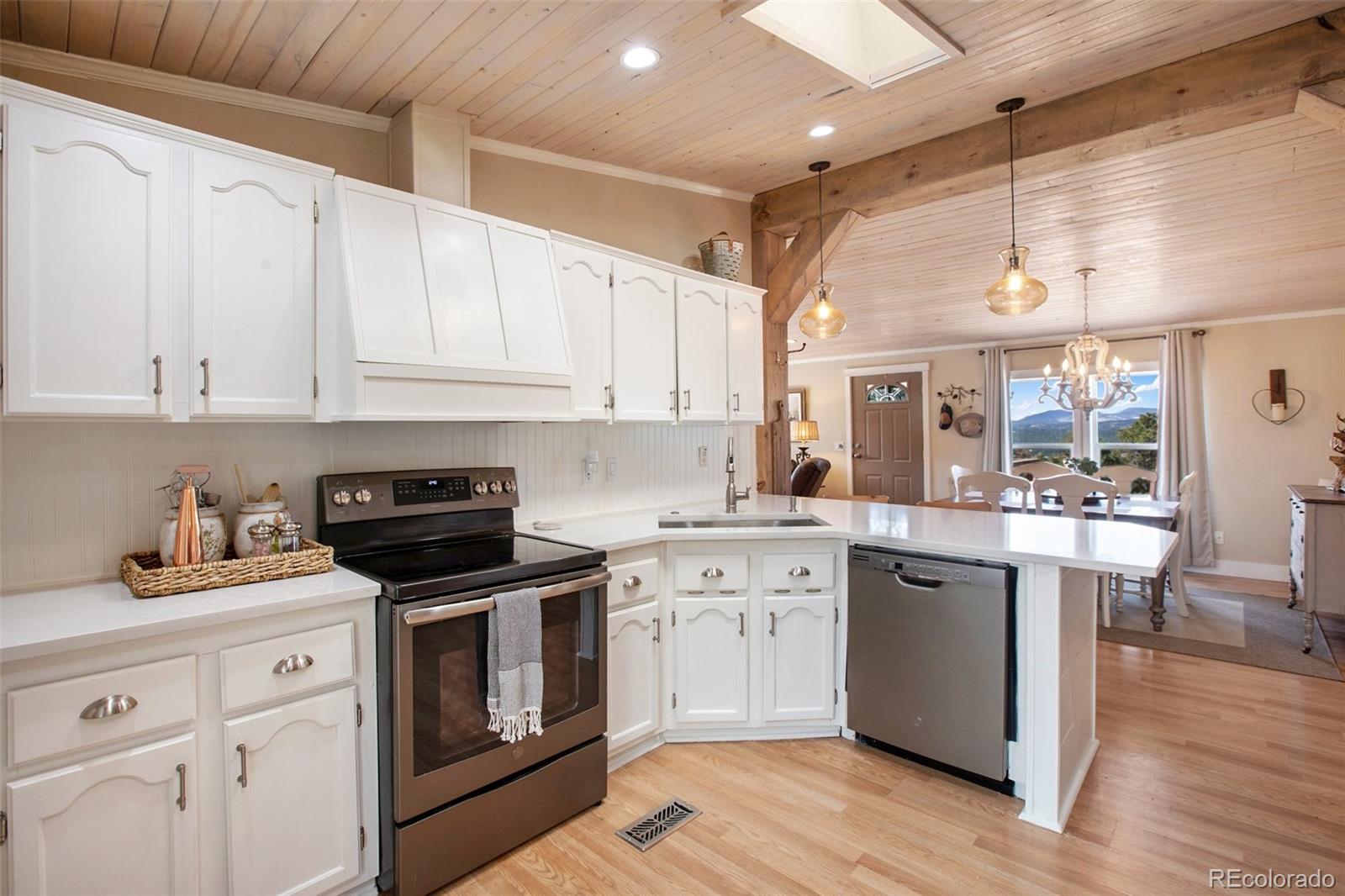 MLS Image #10 for 270  southgate circle,florissant, Colorado
